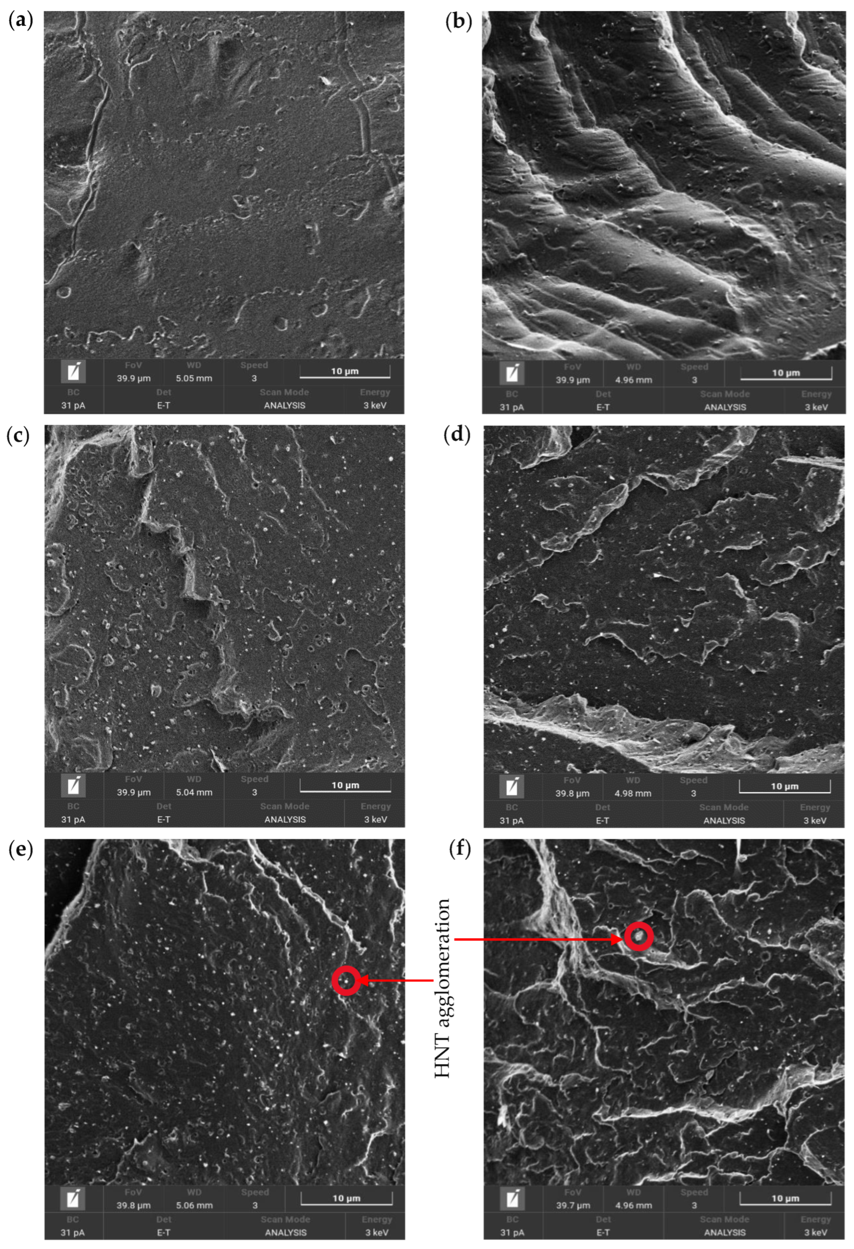 Nanomaterials 14 01373 g008