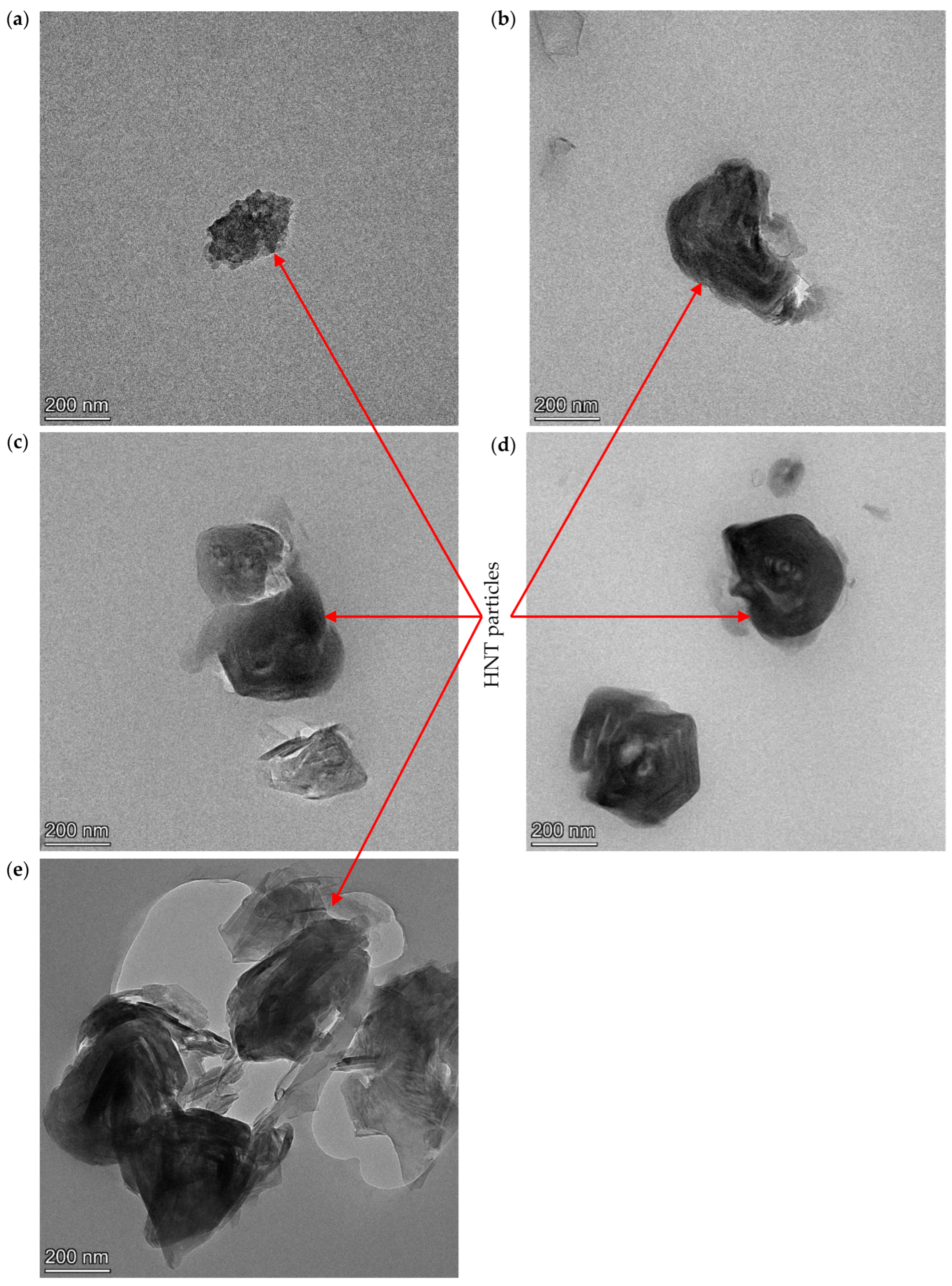Nanomaterials 14 01373 g009