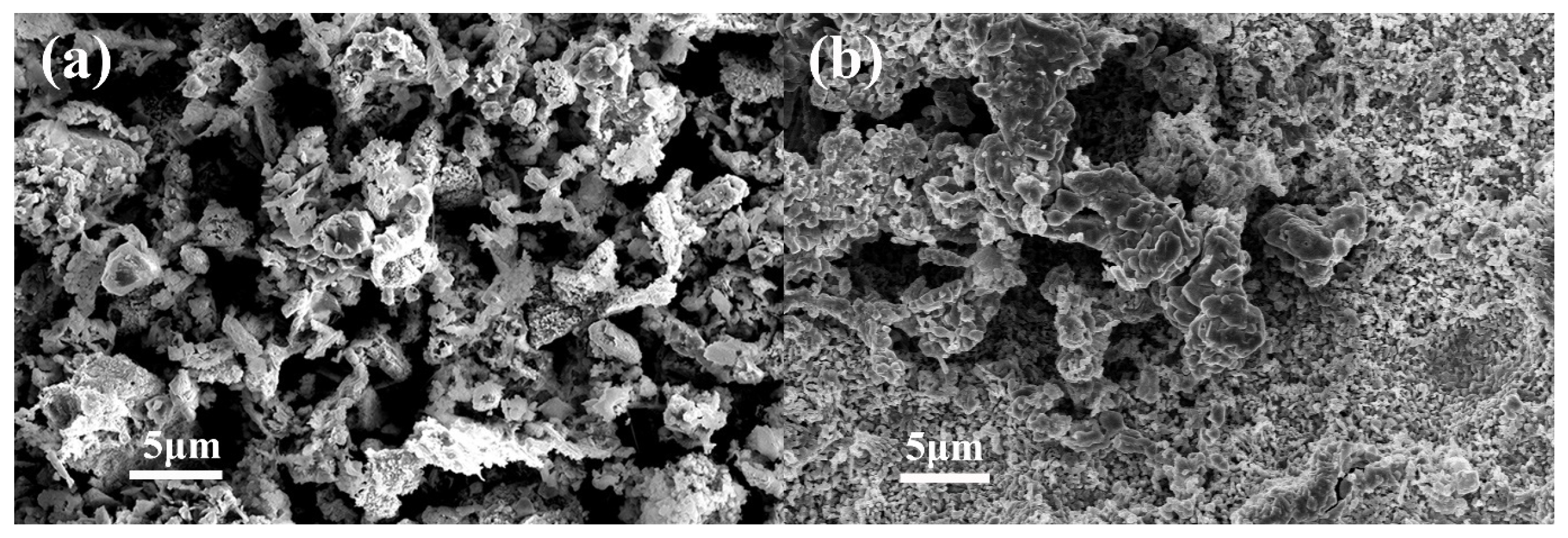 Nanomaterials 14 01378 g001