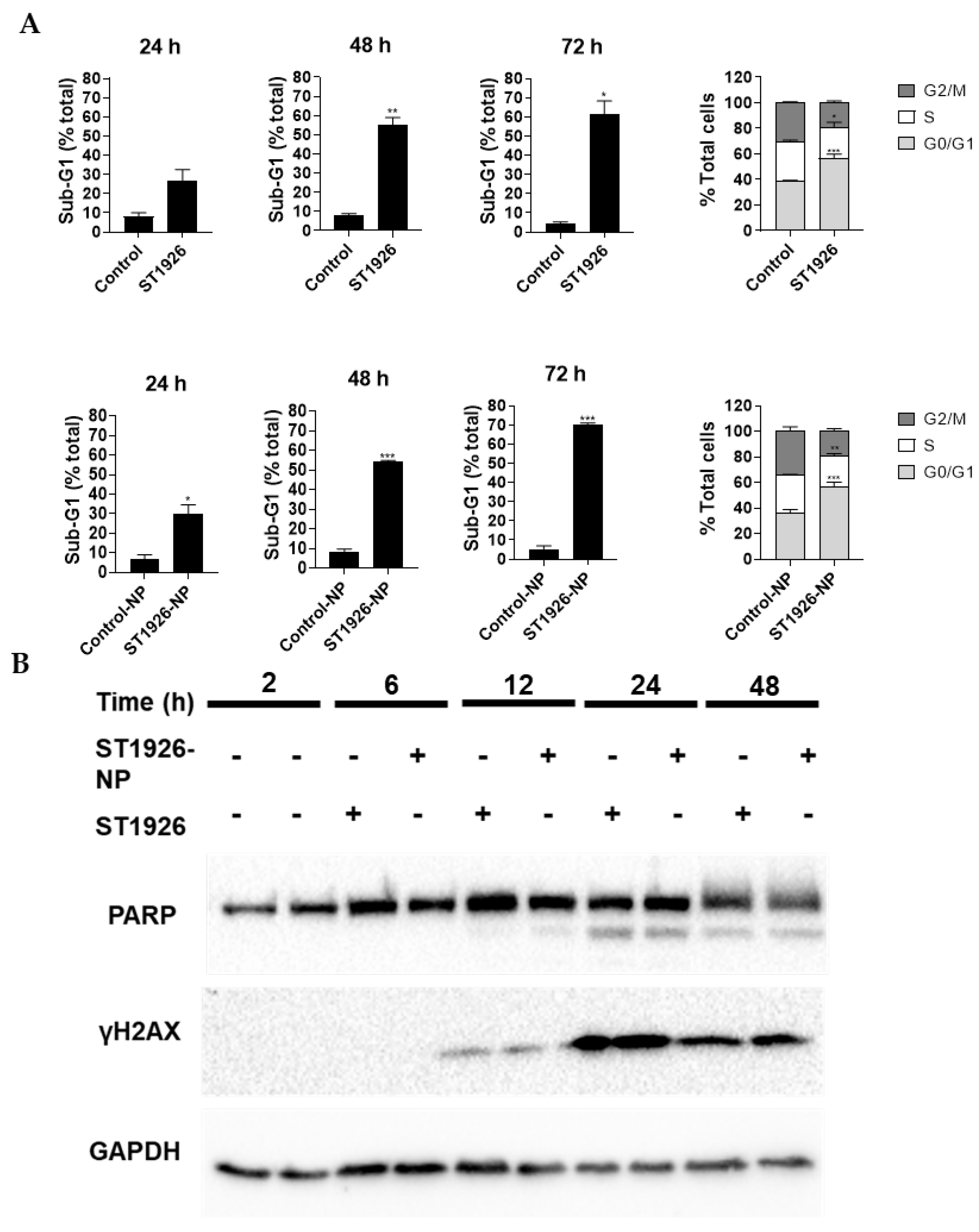 Nanomaterials 14 01380 g004