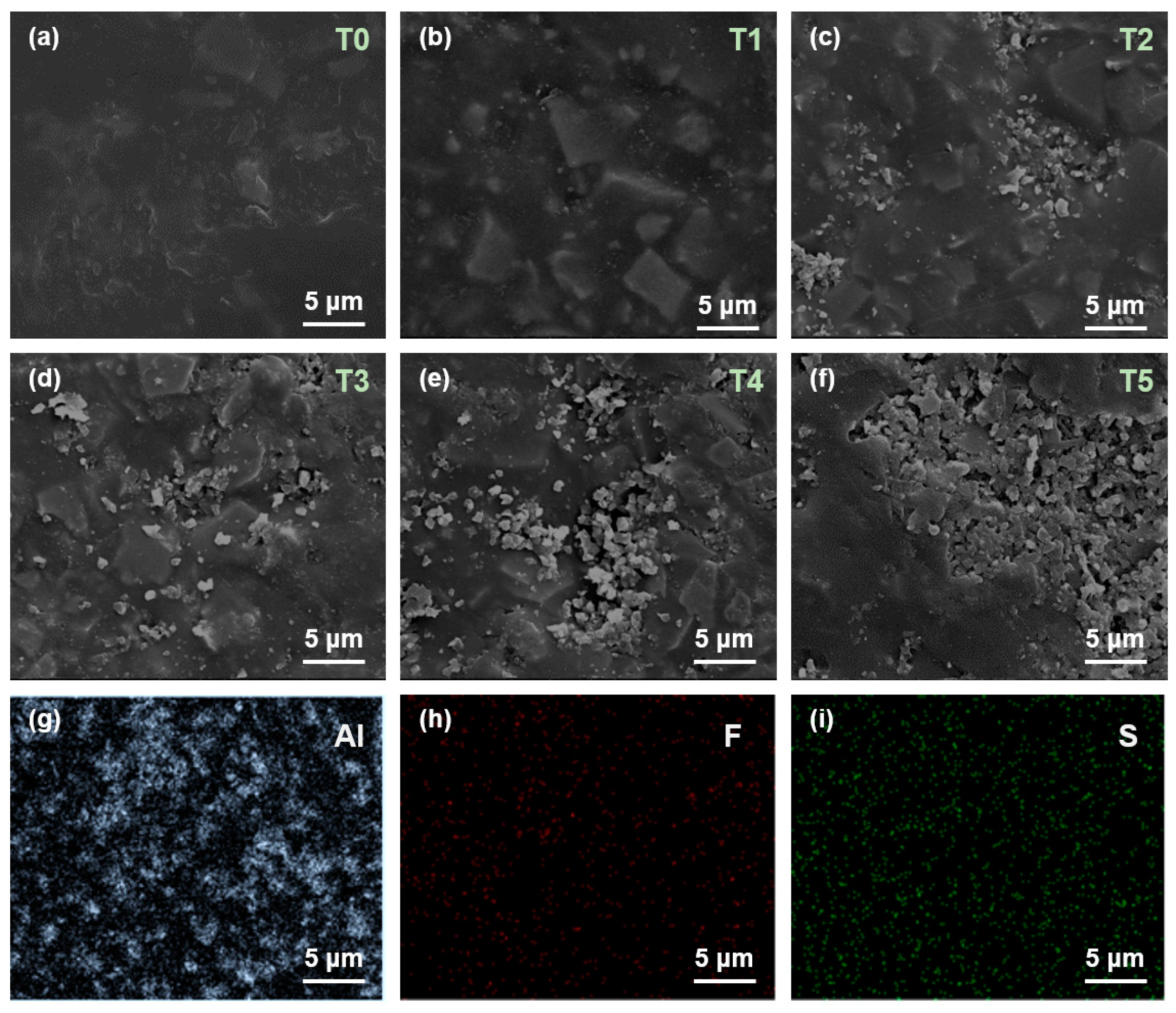 Nanomaterials 14 01382 g003