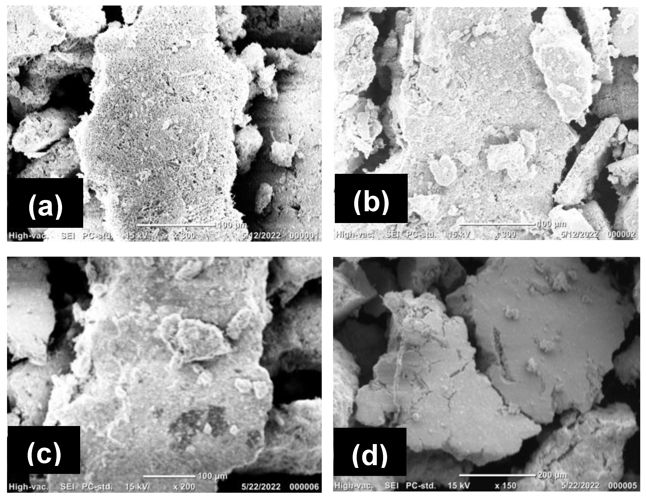 Nanomaterials 14 01383 g006 Nanomaterials 14 01383 g006