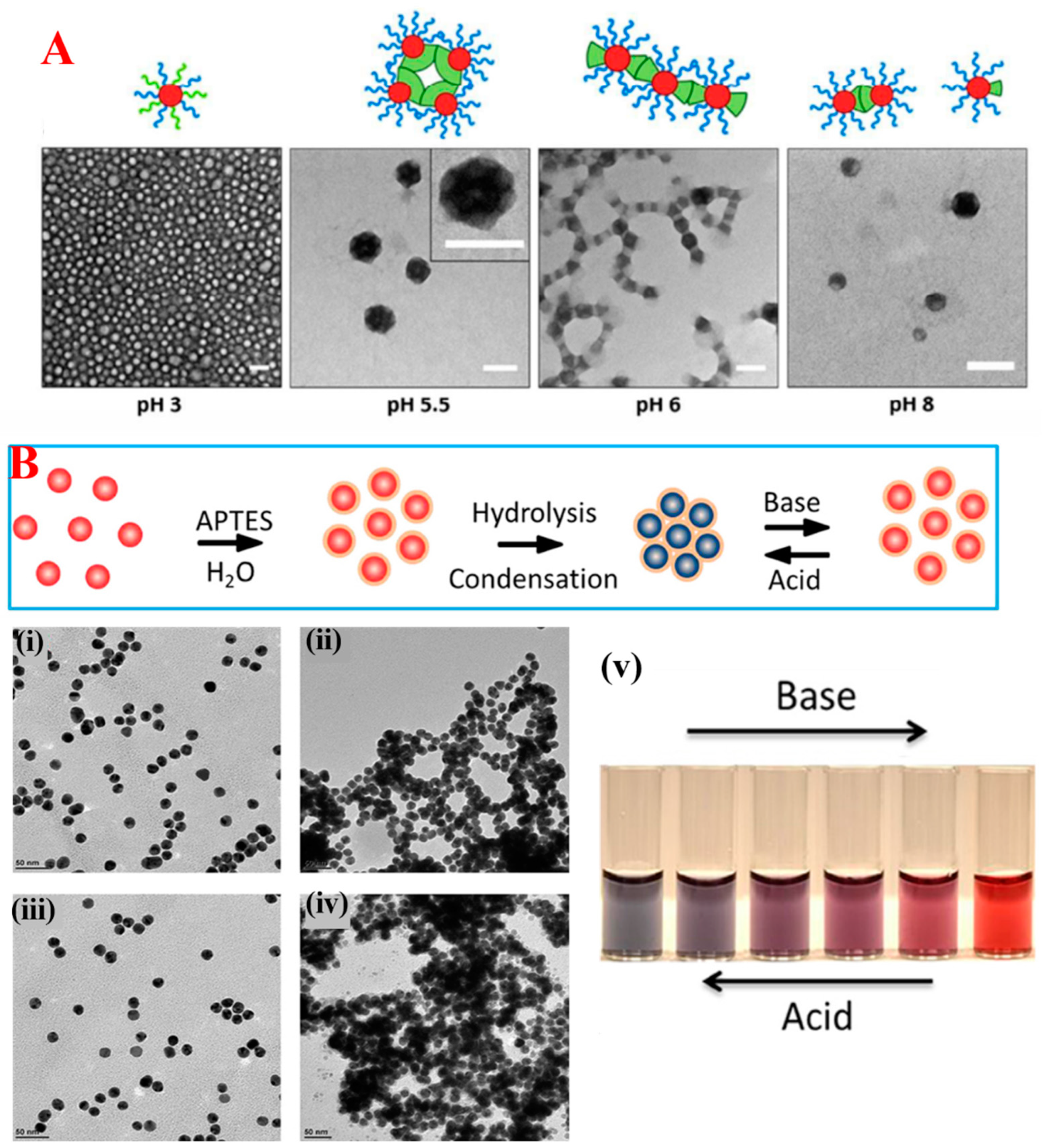 Nanomaterials 14 01387 g003