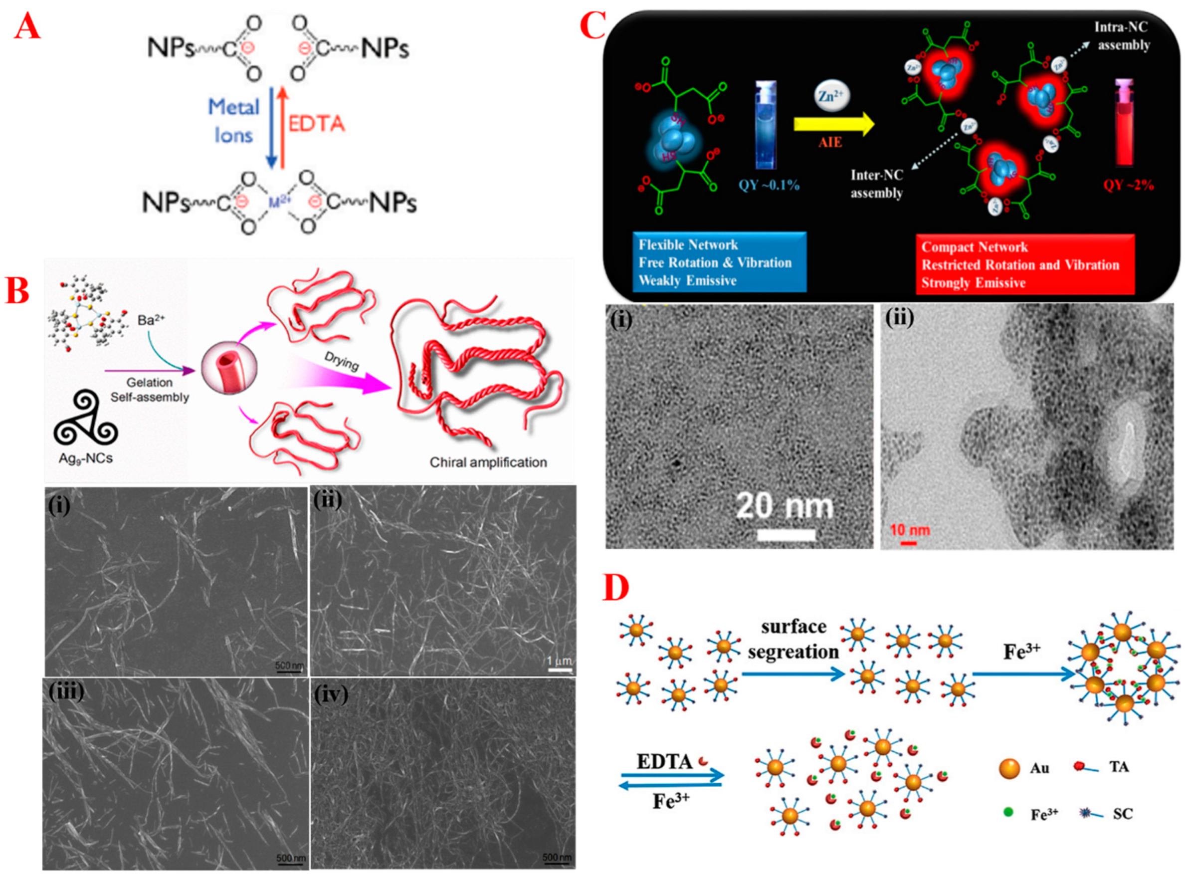 Nanomaterials 14 01387 g005