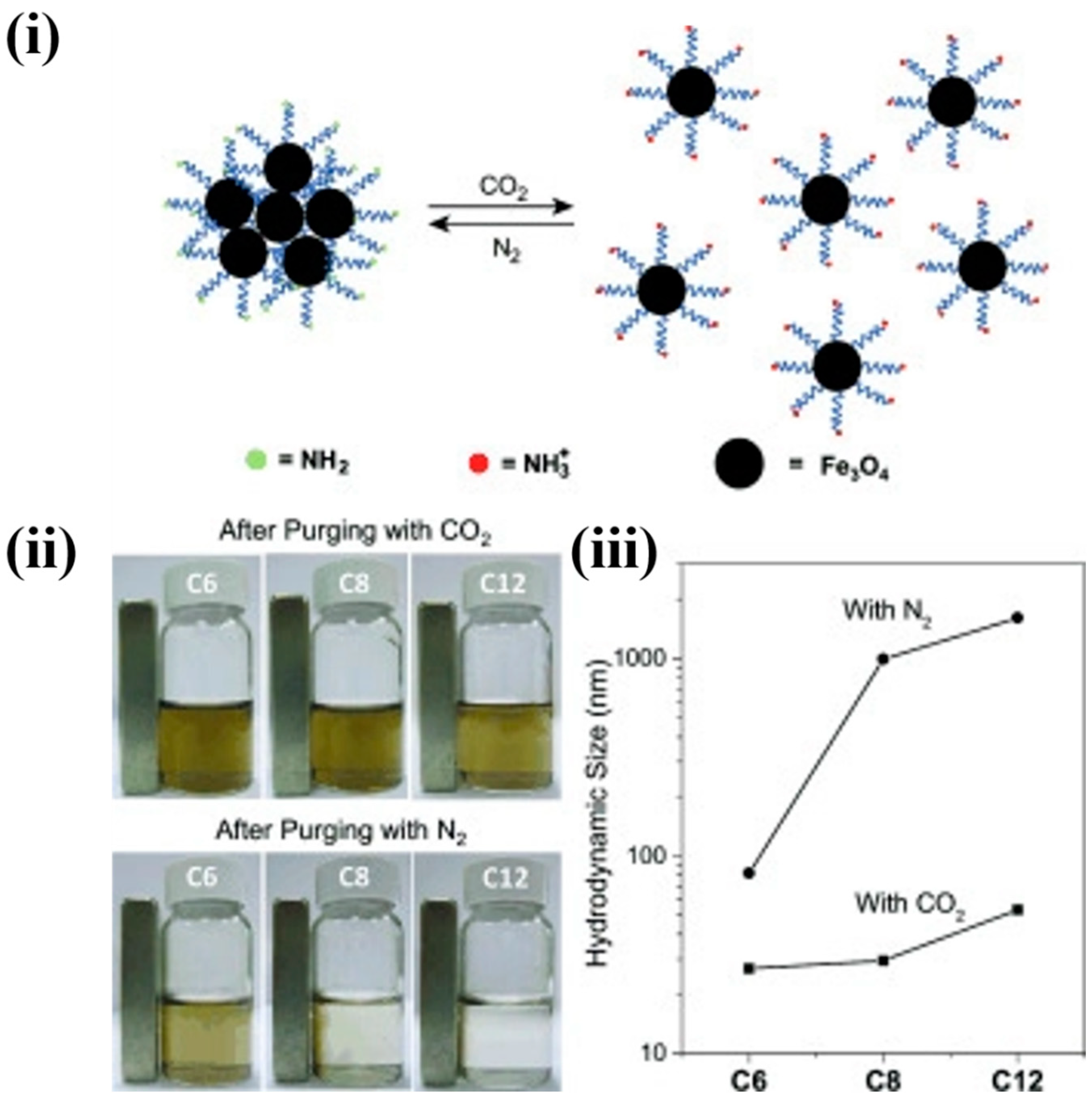 Nanomaterials 14 01387 g006