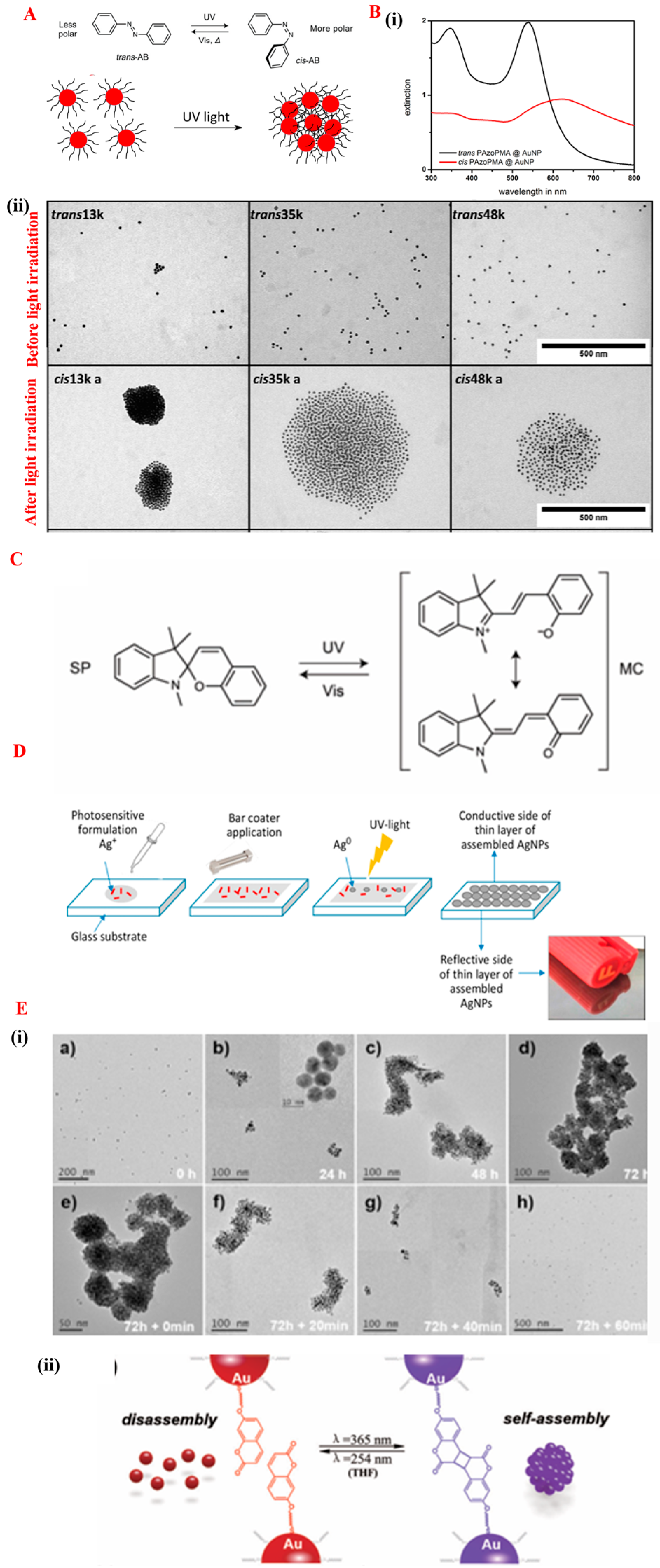 Nanomaterials 14 01387 g007