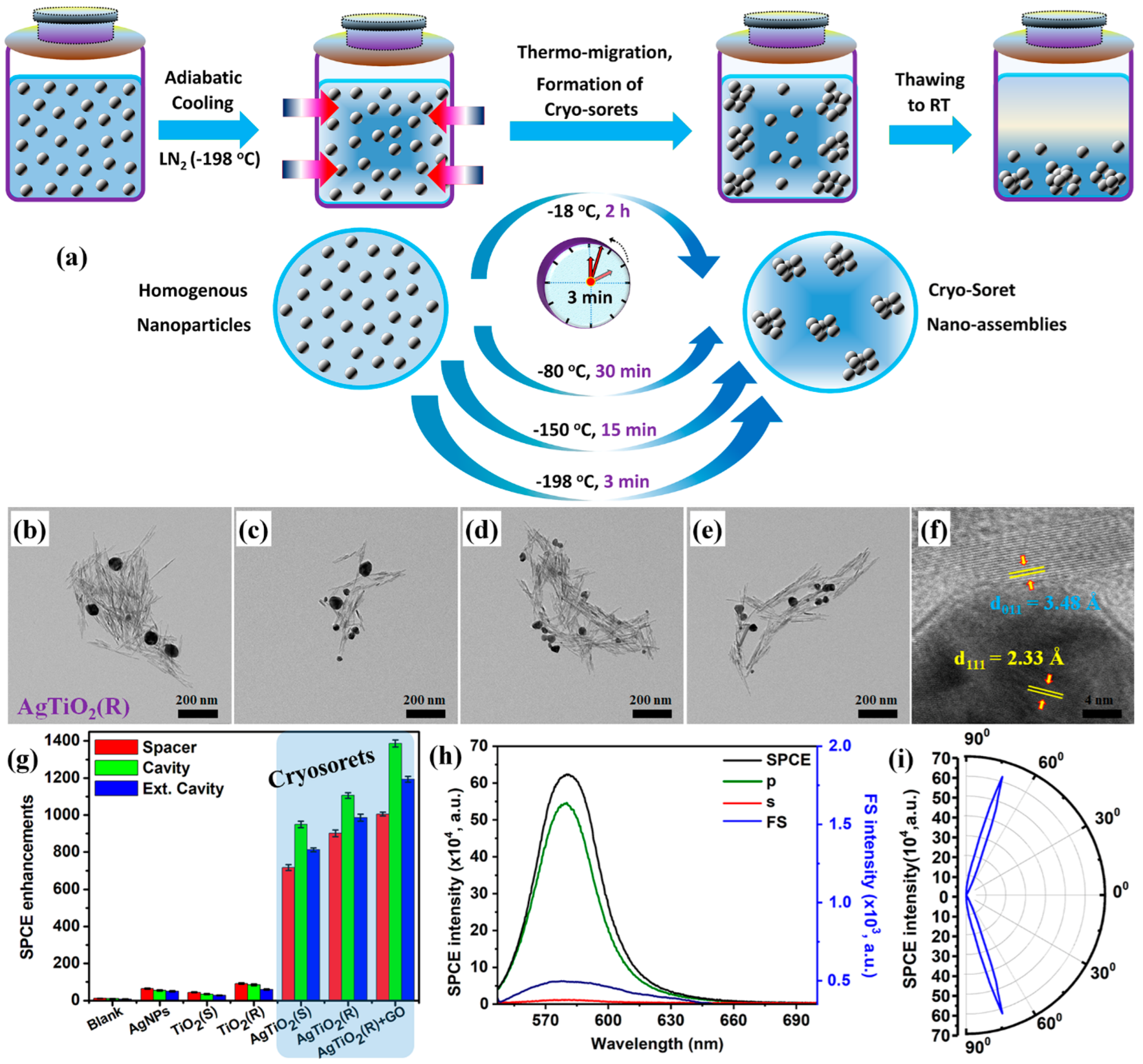 Nanomaterials 14 01387 g009