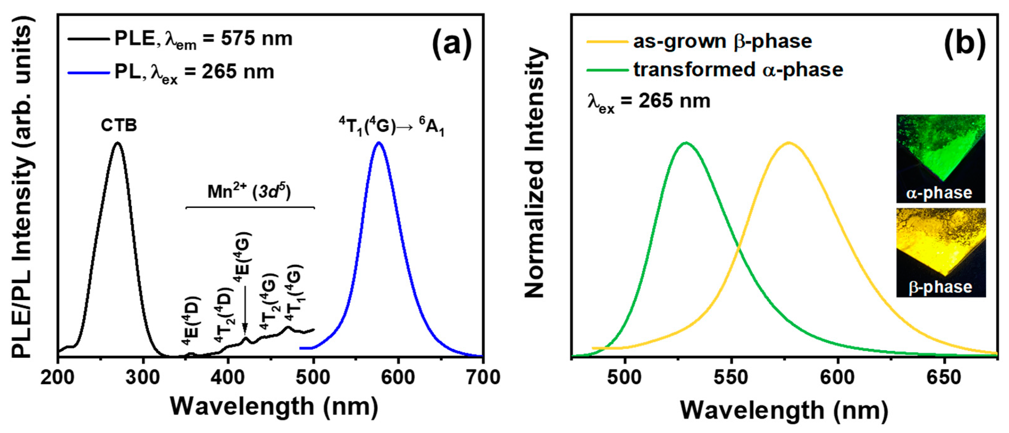 Nanomaterials 14 01395 g001