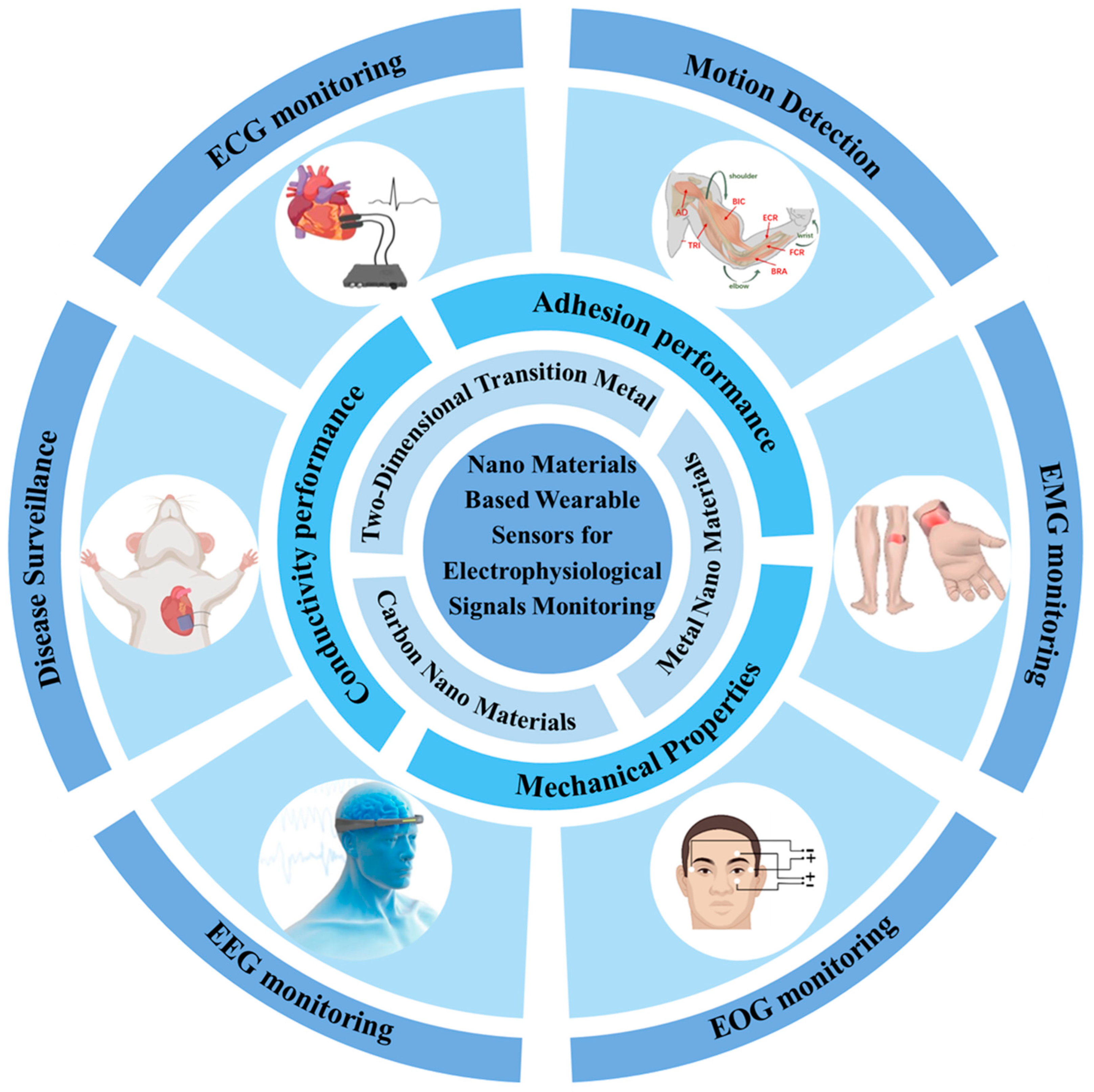 Nanomaterials 14 01398 g001