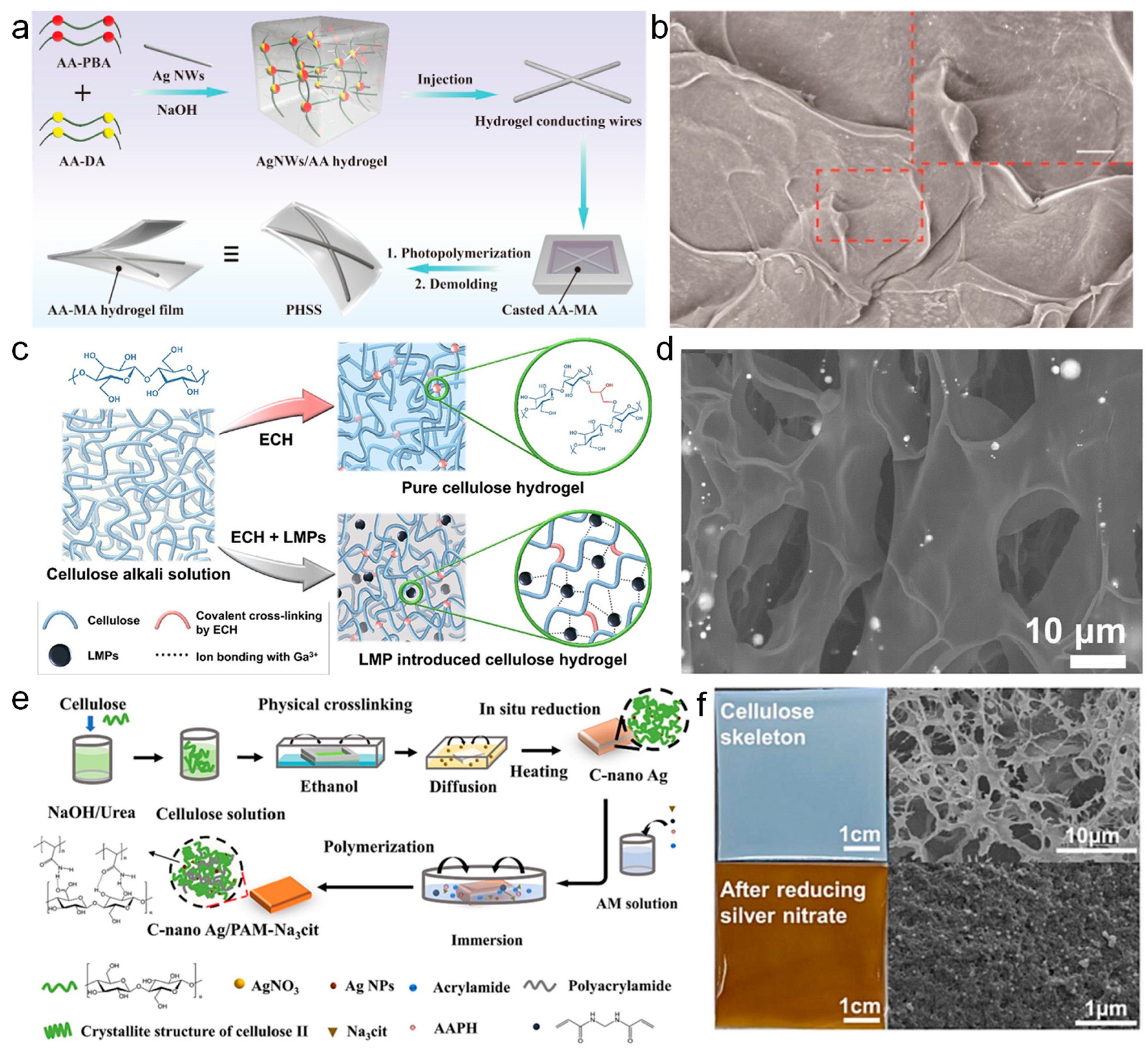 Nanomaterials 14 01398 g003