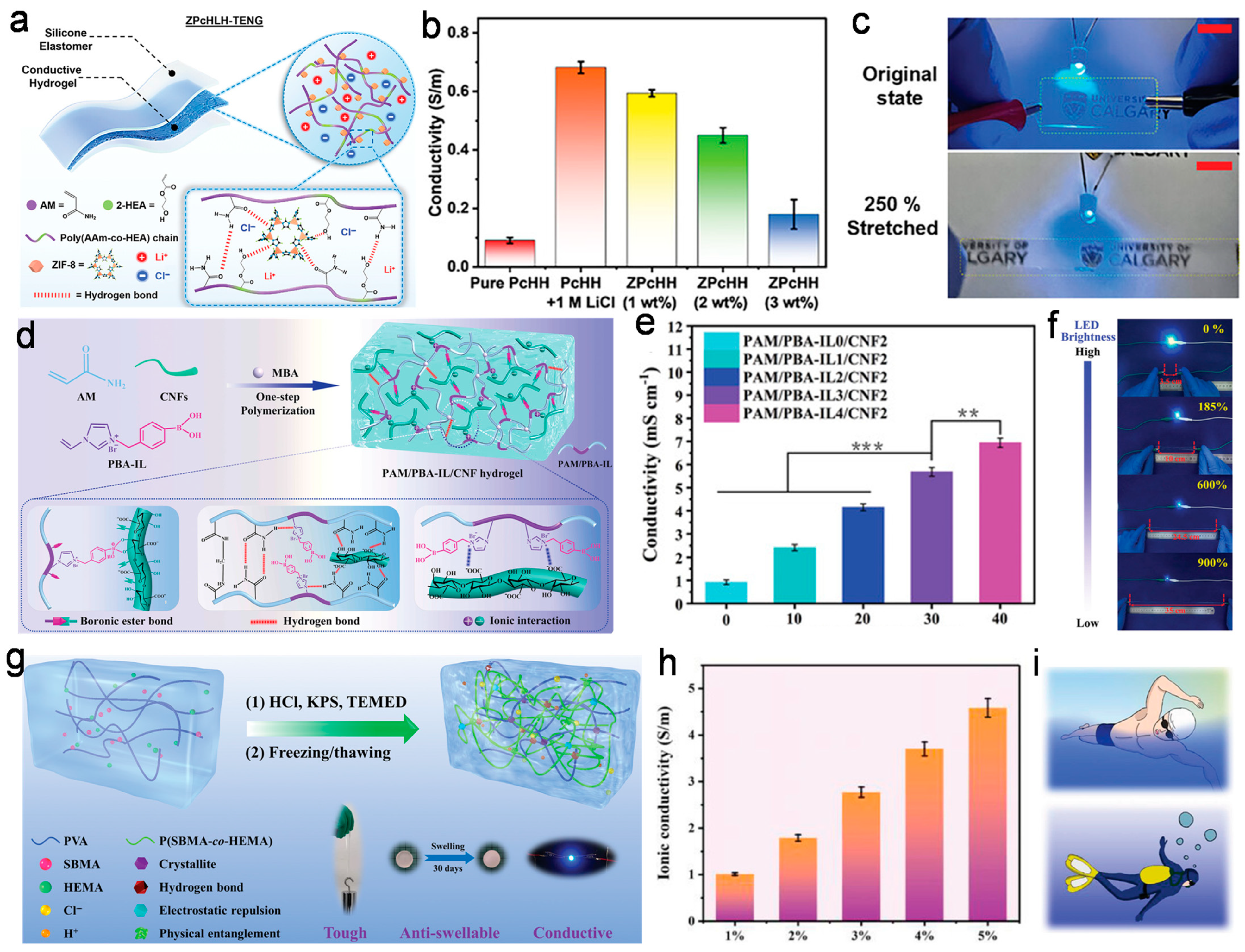 Nanomaterials 14 01398 g005