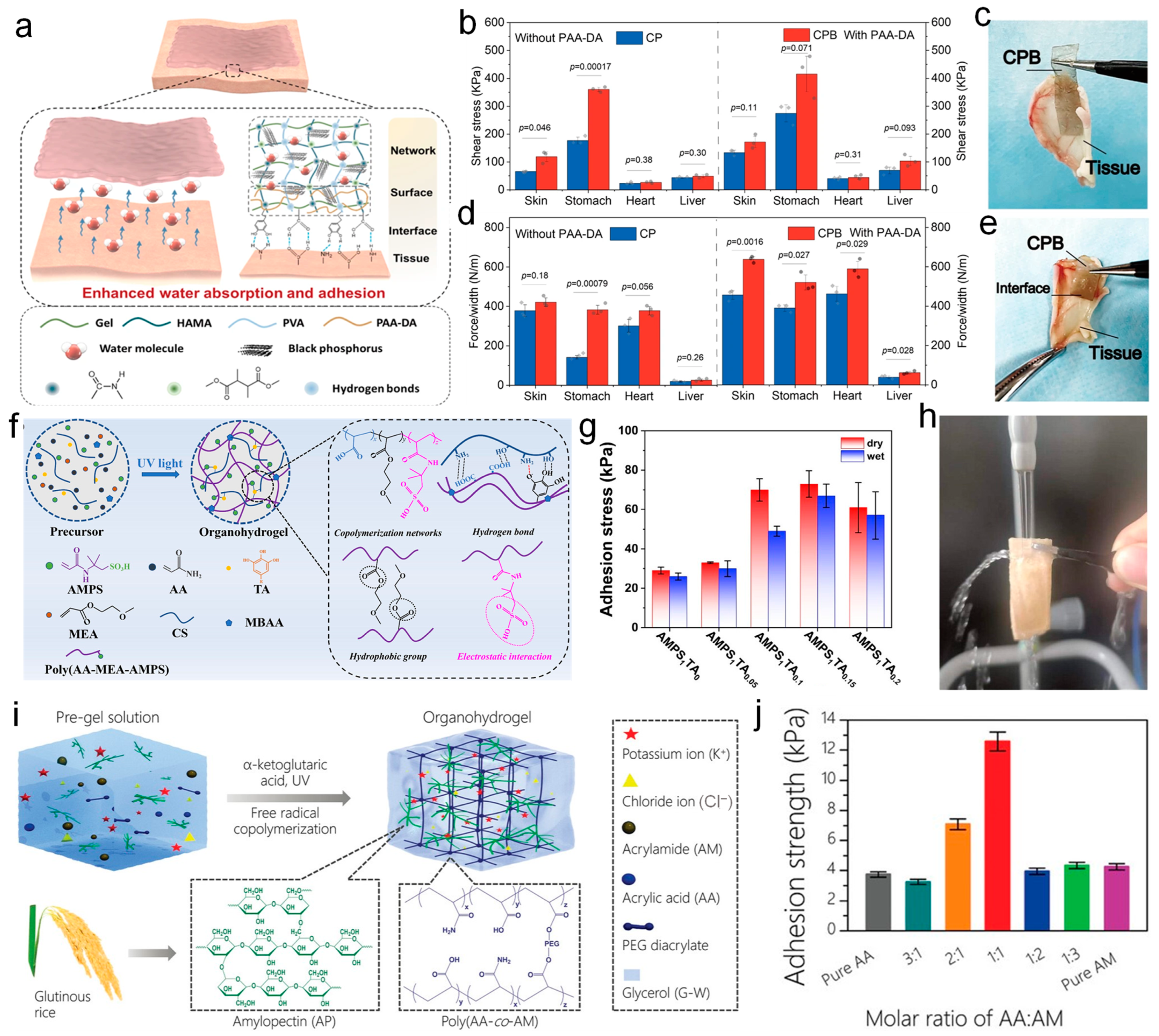 Nanomaterials 14 01398 g006