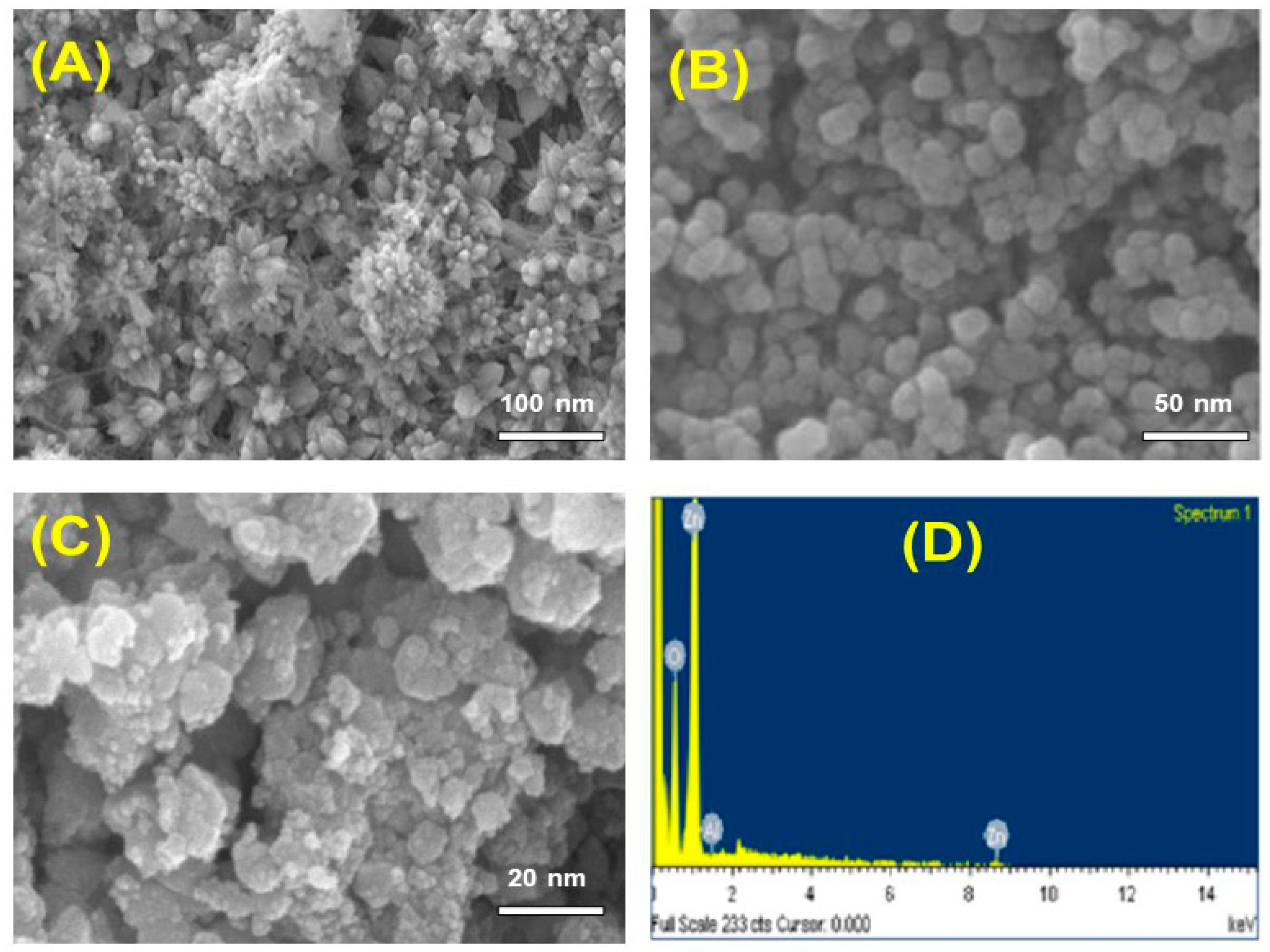 Nanomaterials 14 01407 g006