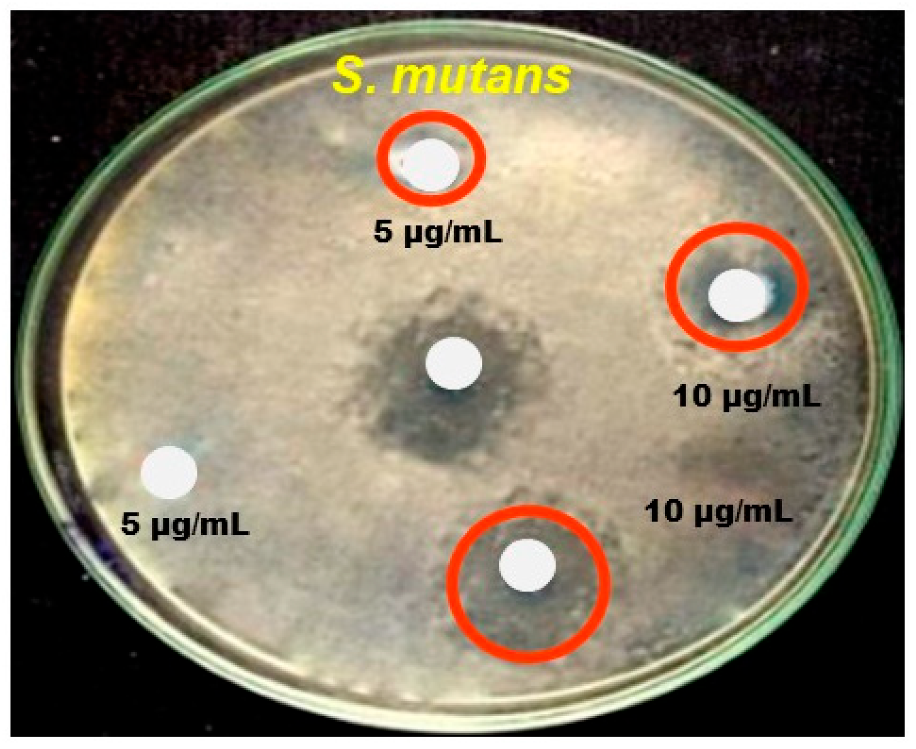 Nanomaterials 14 01407 g008