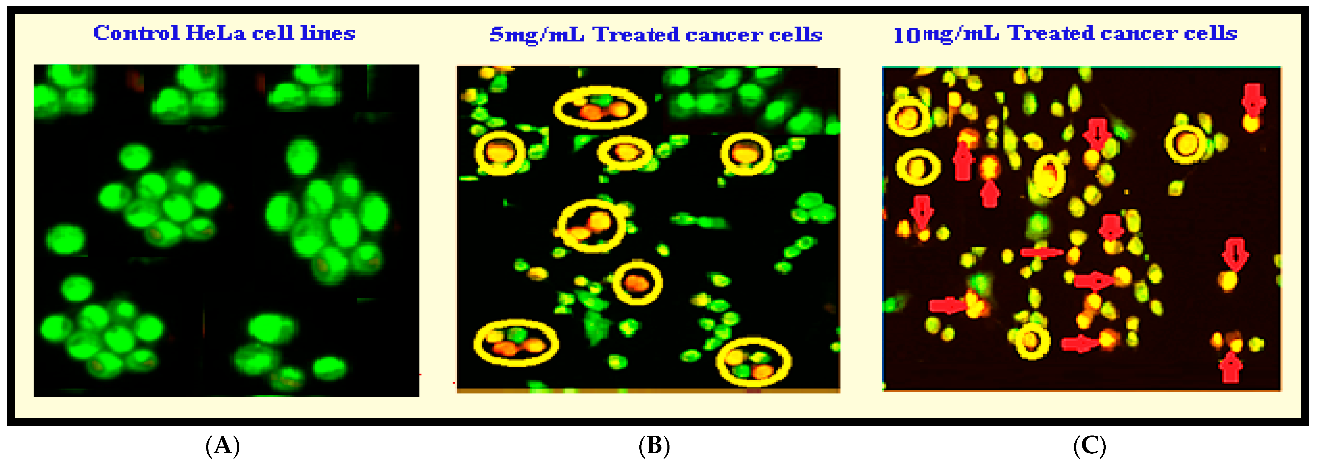 Nanomaterials 14 01407 g009