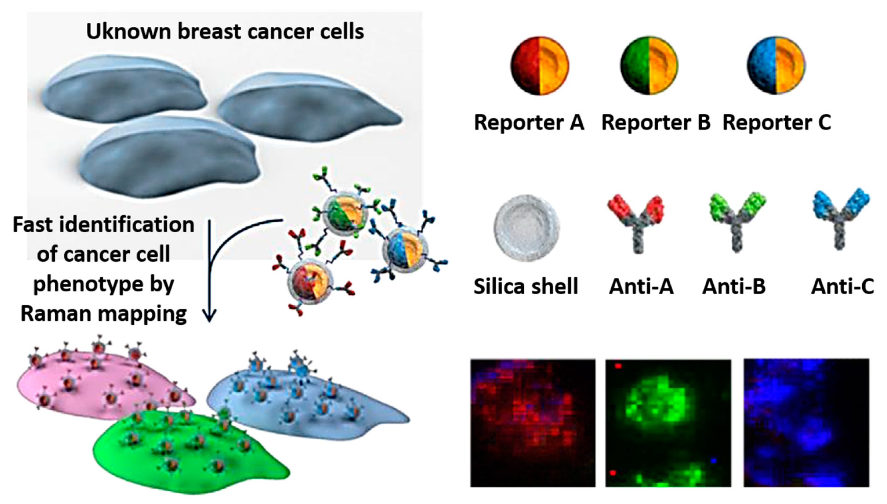 Nanomaterials 14 01417 g006 Nanomaterials 14 01417 g006