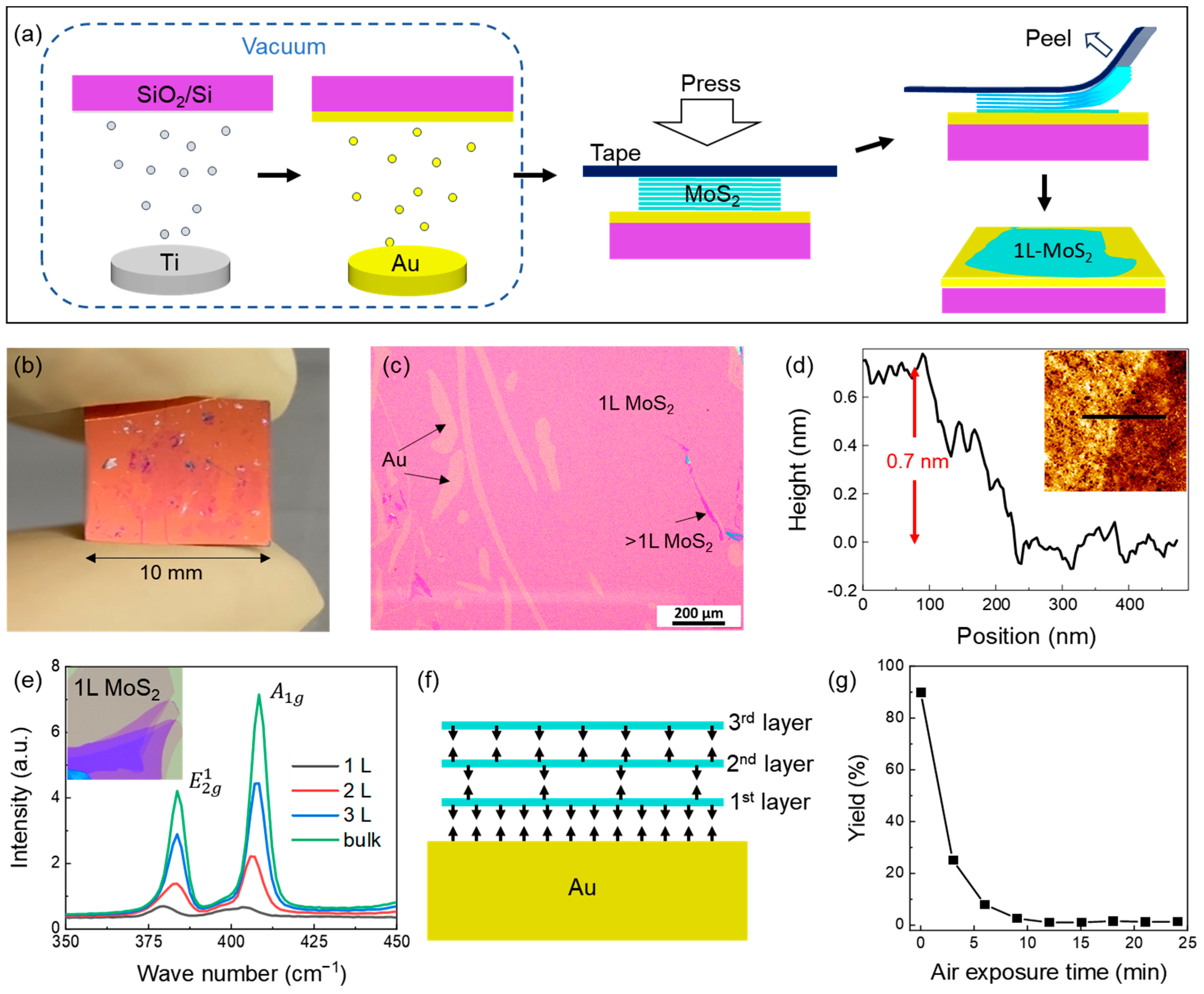 Nanomaterials 14 01418 g001