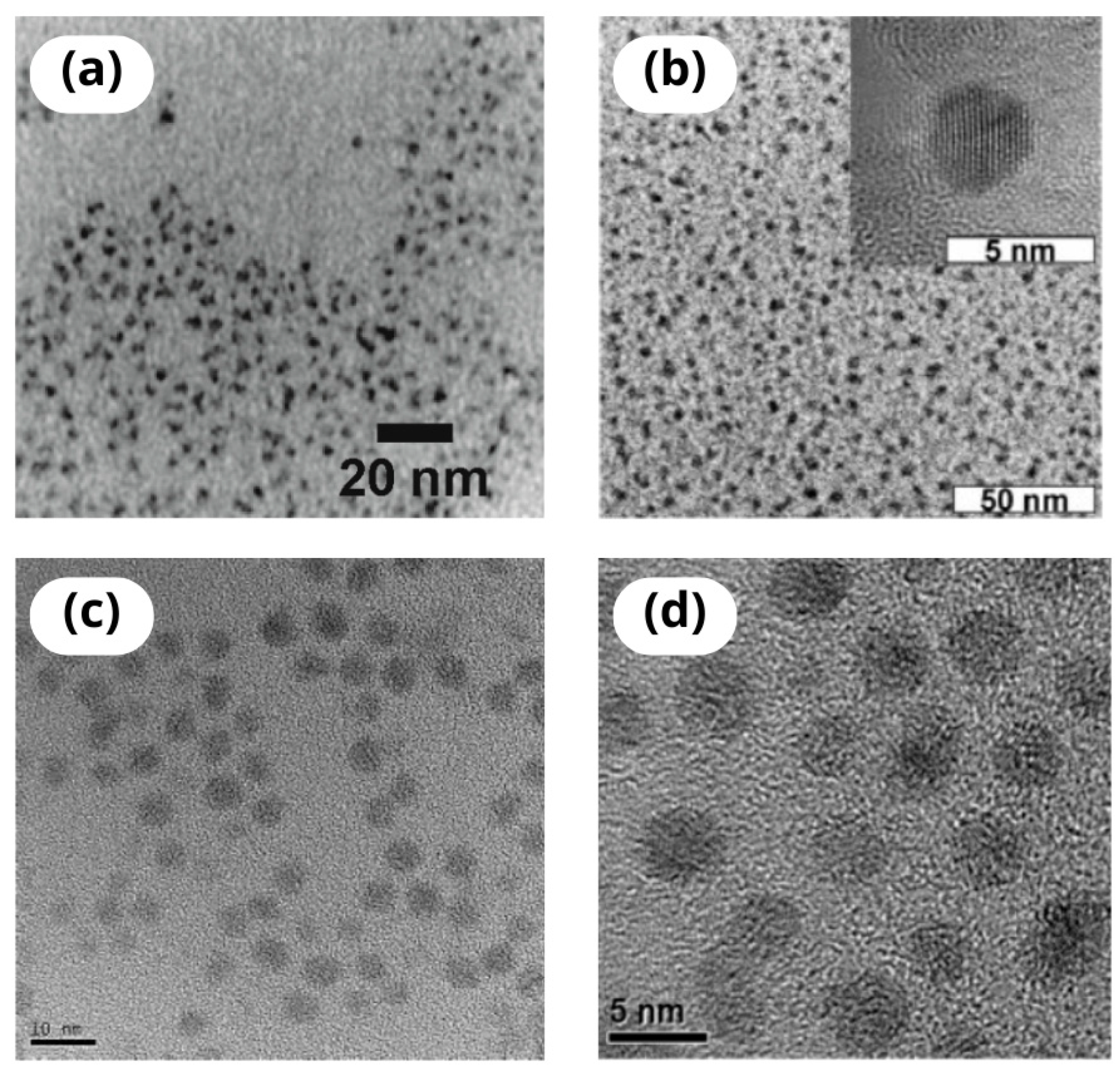 Nanomaterials 14 01424 g005