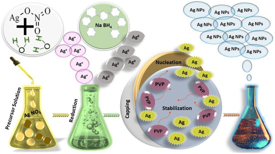 なおみ Membrane-bound electron transport systems of an anammox