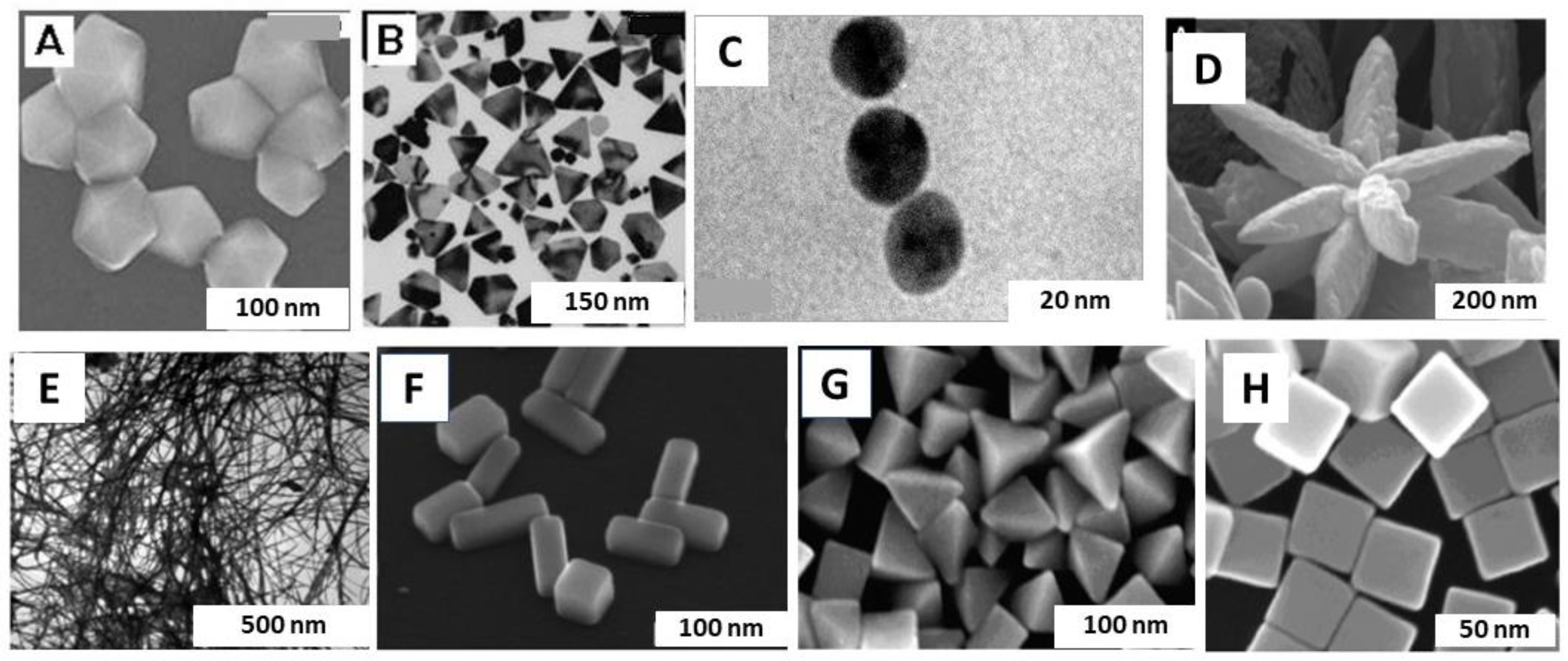 Nanomaterials 14 01425 g006 Nanomaterials 14 01425 g006