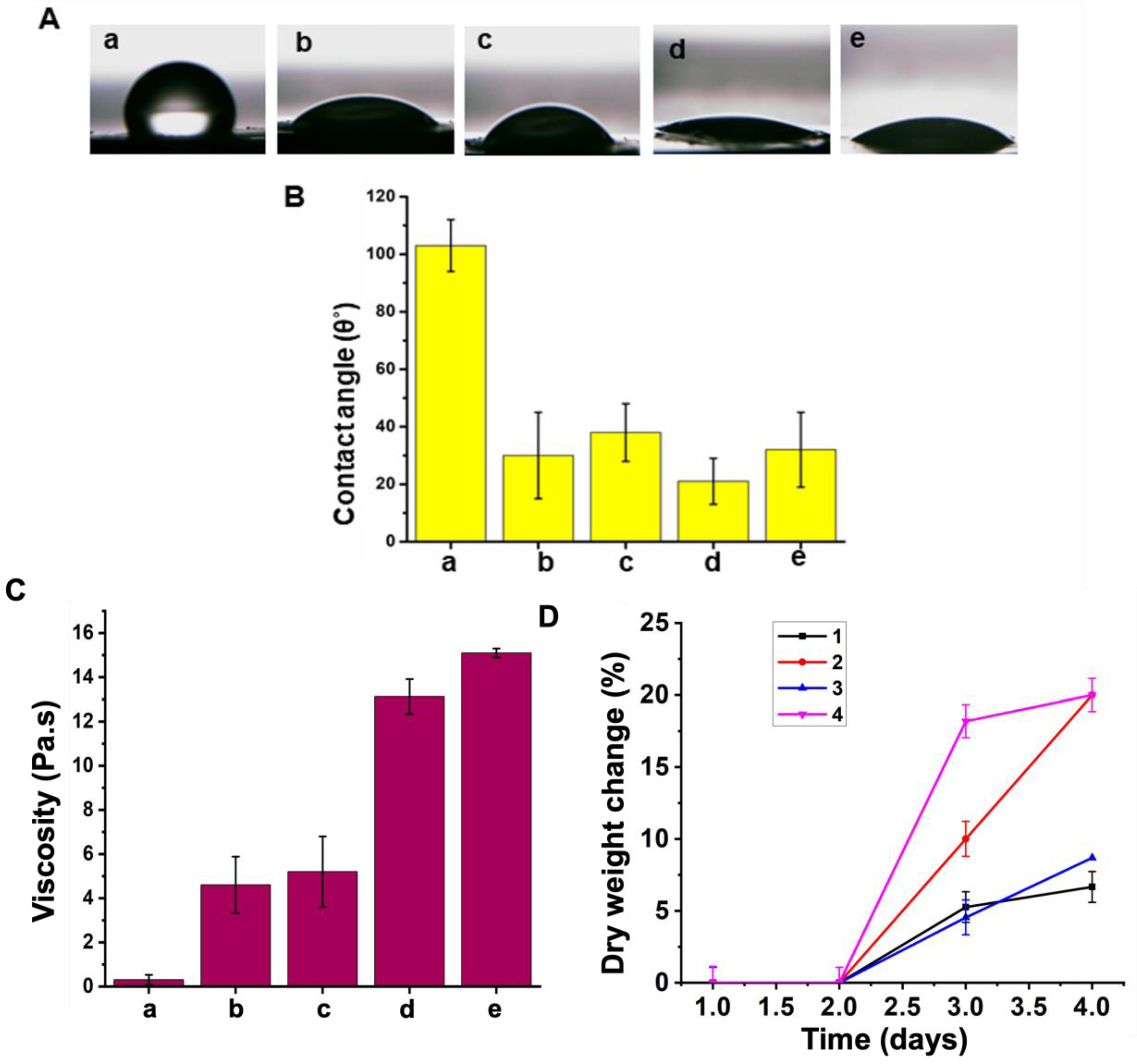 Nanomaterials 14 01429 g003