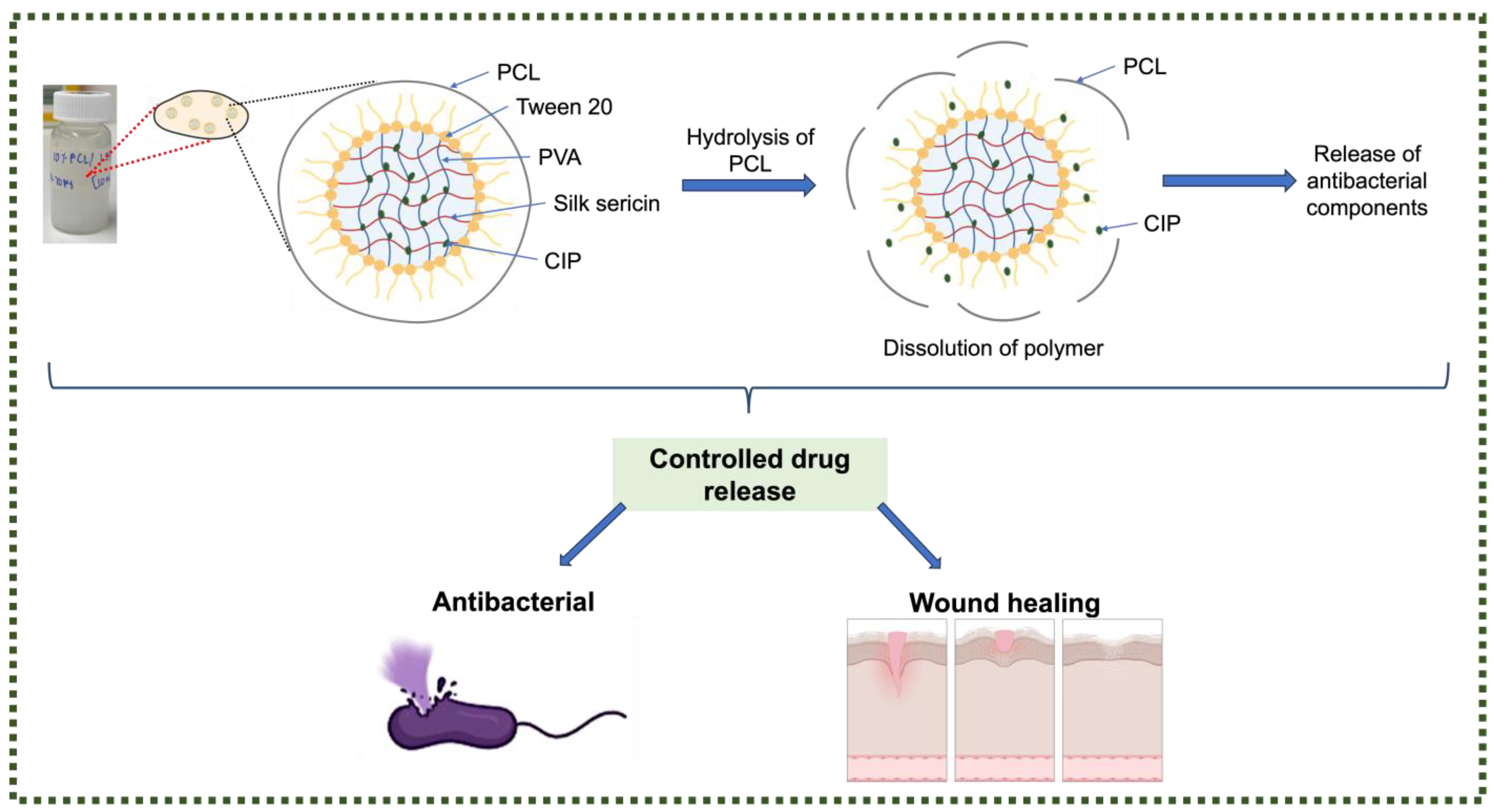 Nanomaterials 14 01429 sch002