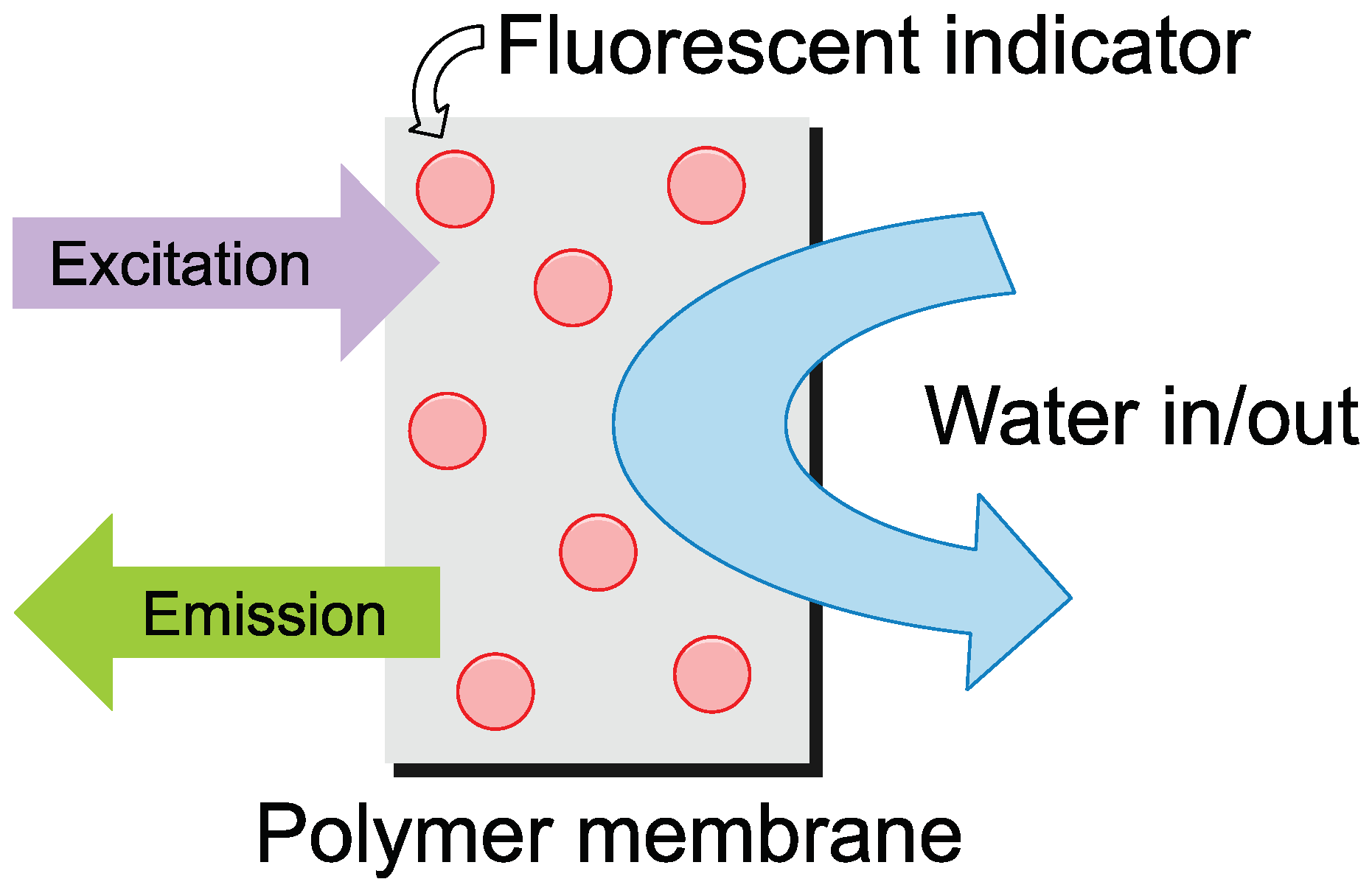 Nanomaterials 14 01434 g001 Nanomaterials 14 01434 g001