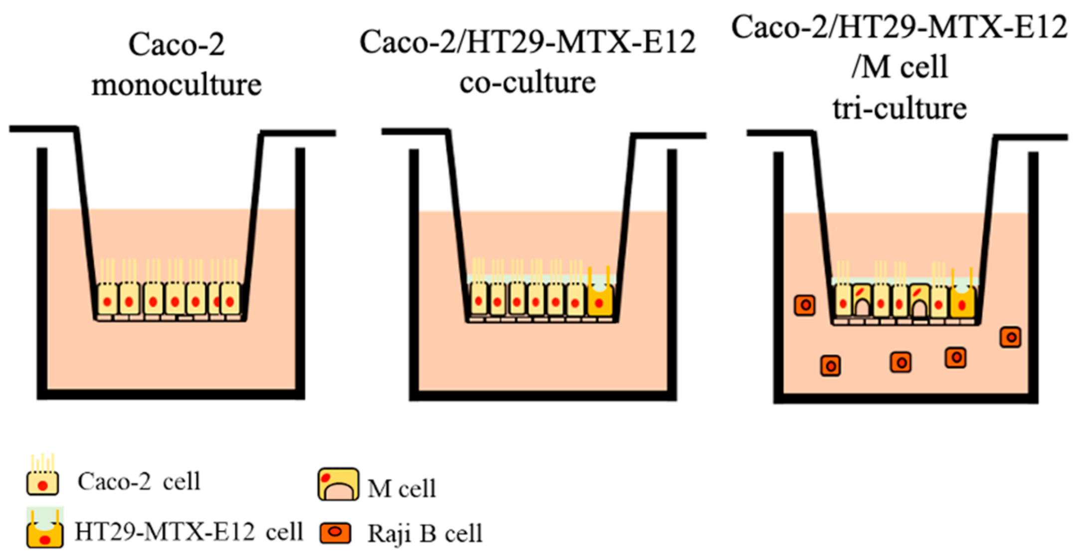 Nanomaterials 14 01435 g001