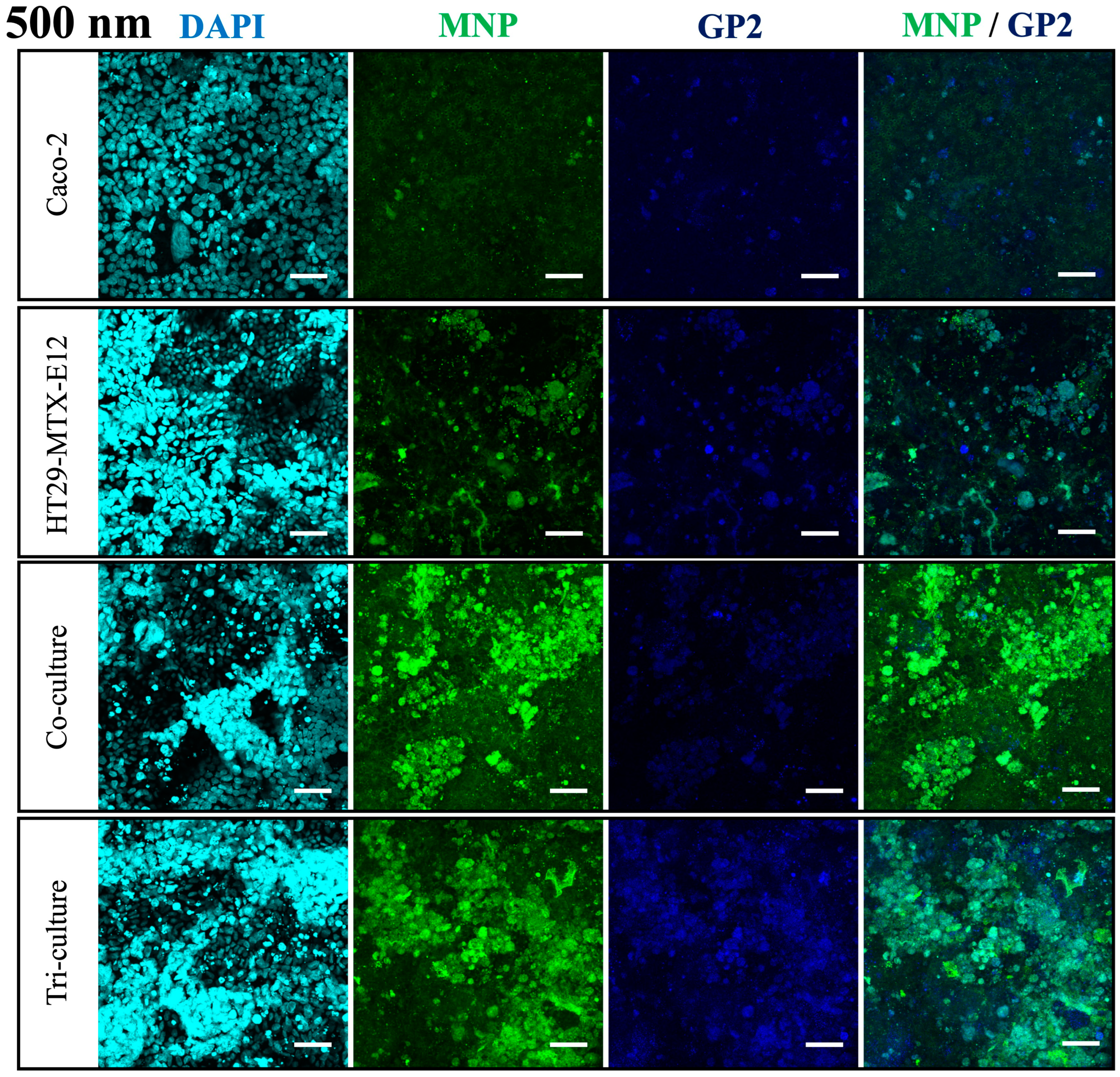 Nanomaterials 14 01435 g008