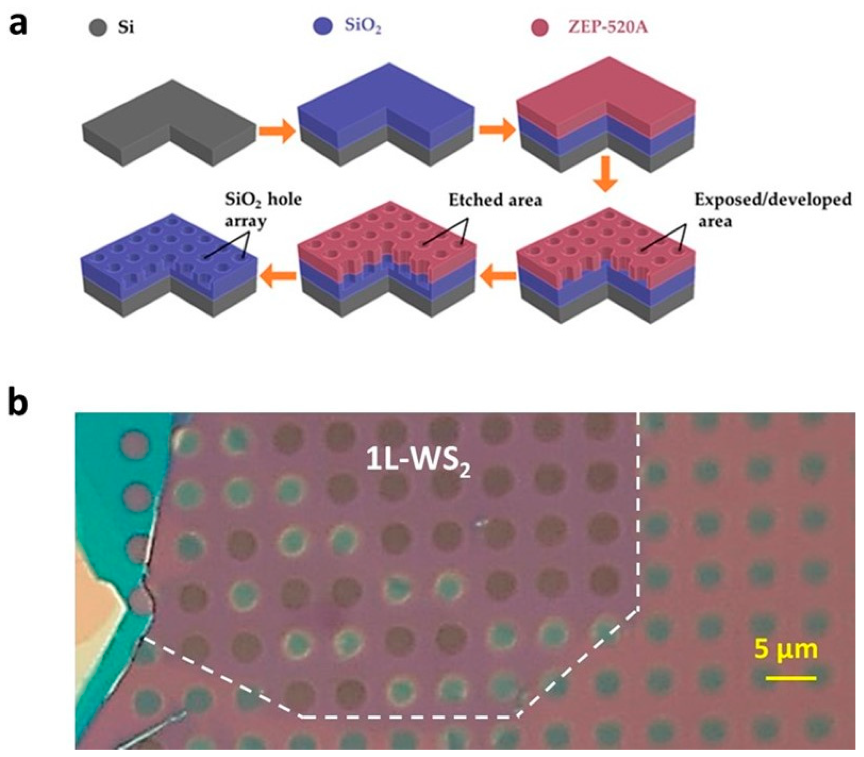 Nanomaterials 14 01437 g001