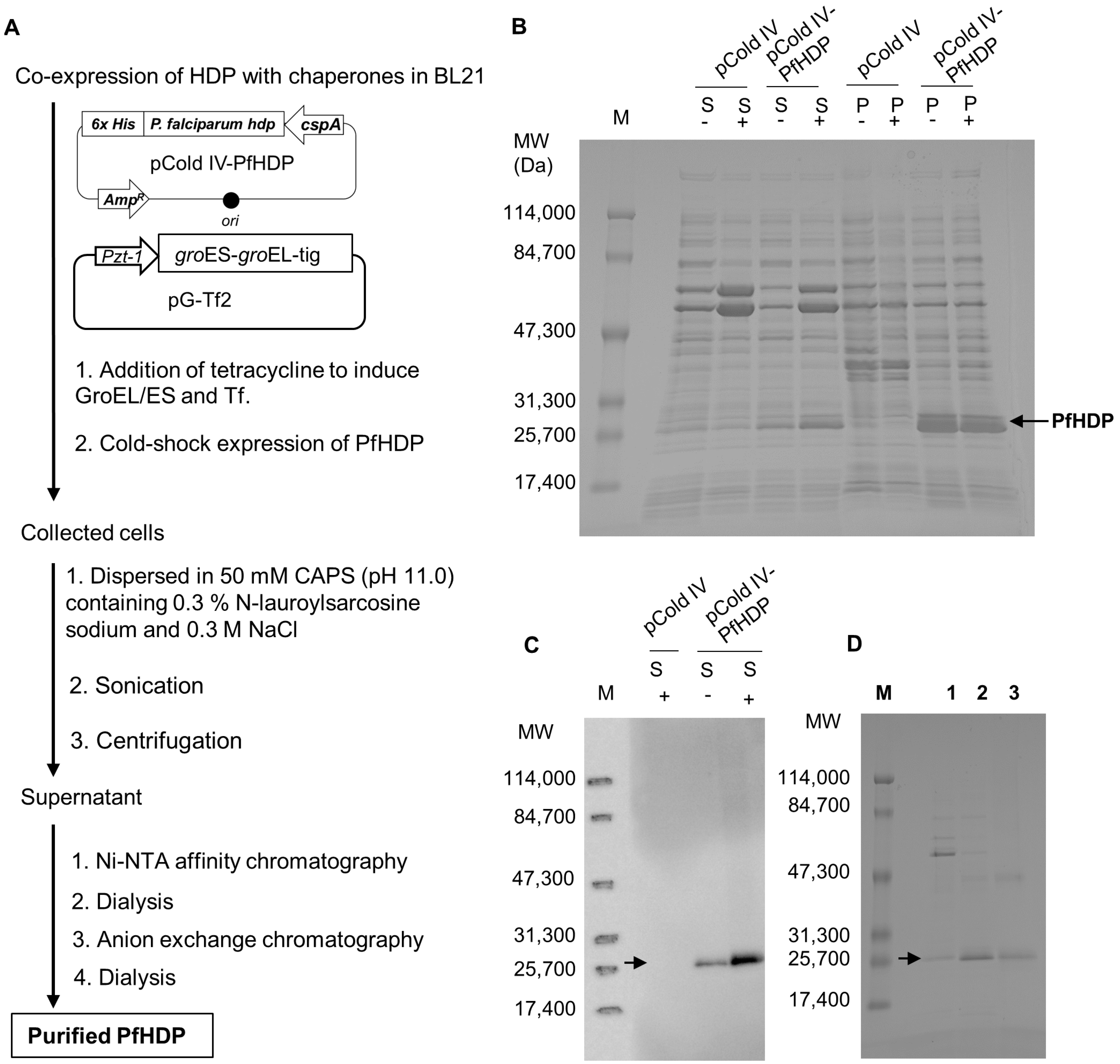 Nanomaterials 14 01440 g001