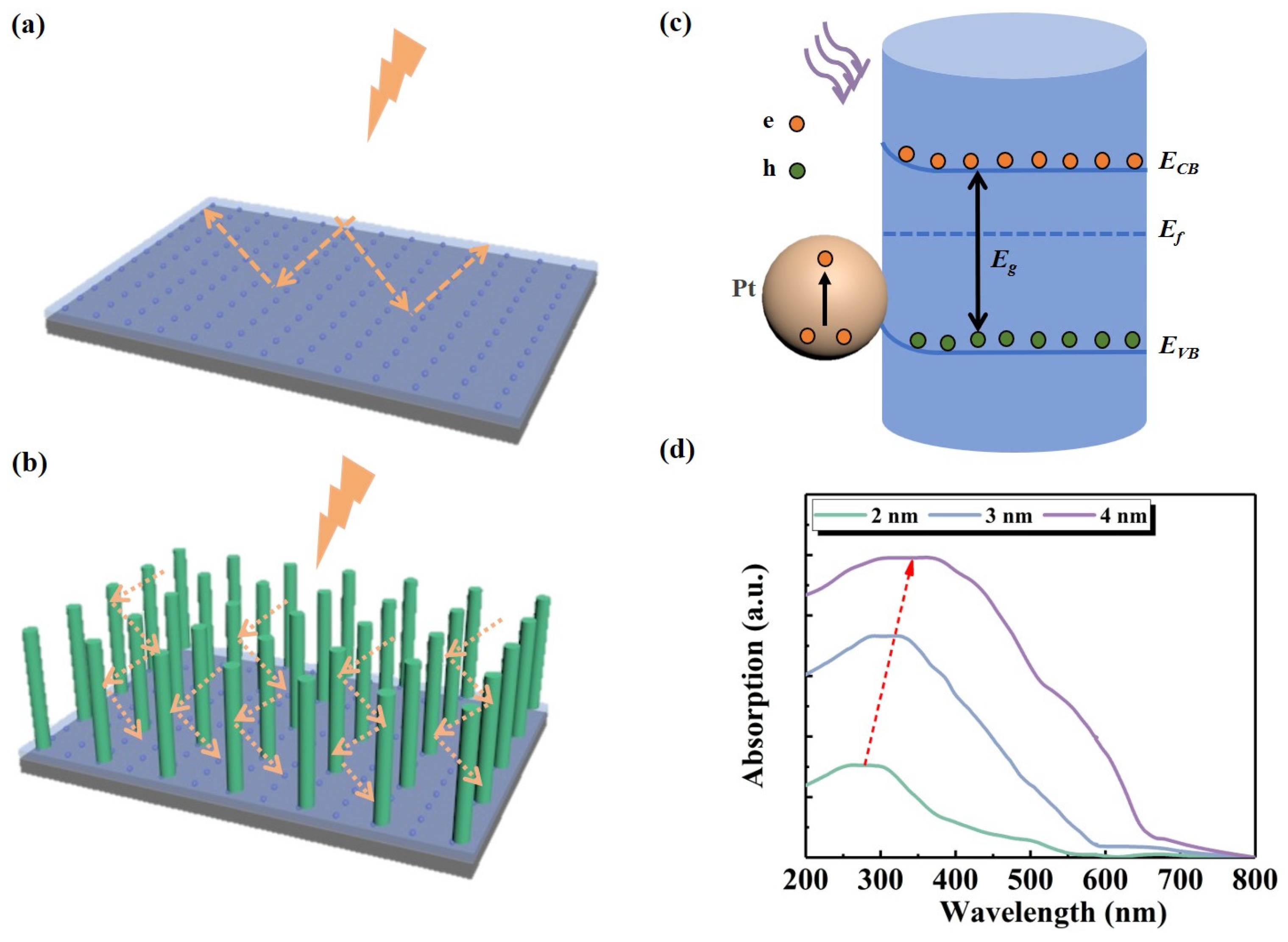 Nanomaterials 14 01442 g006