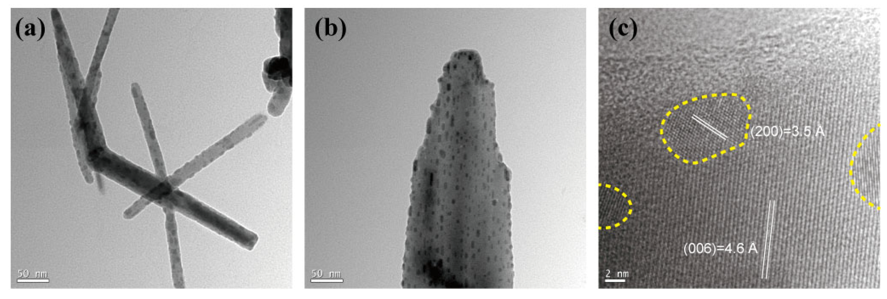 Nanomaterials 14 01443 g003