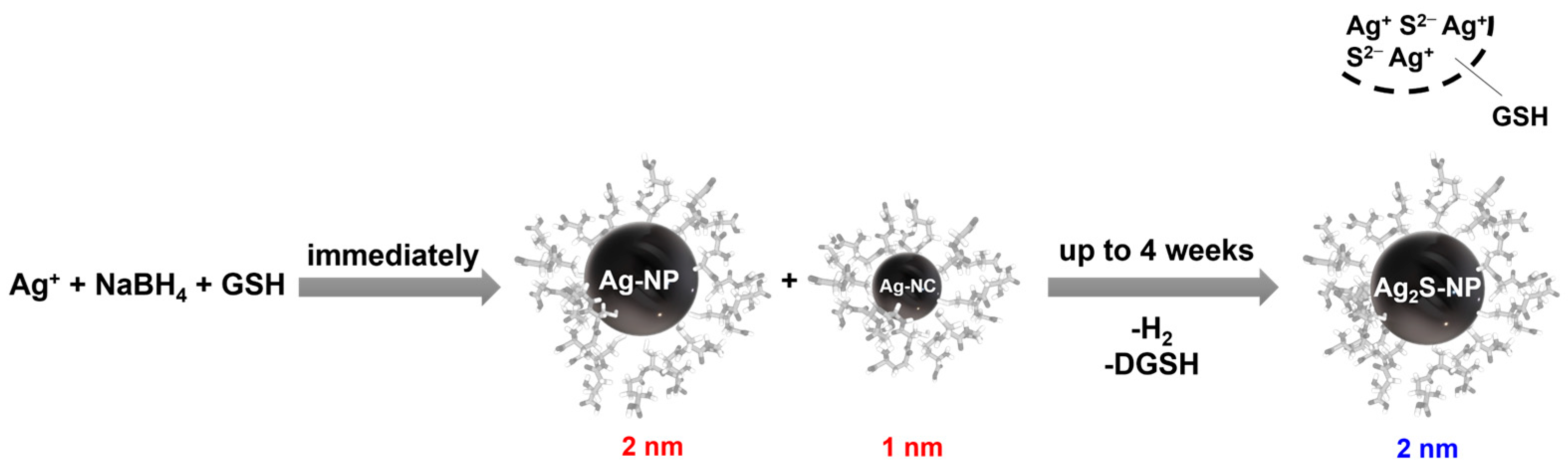 Nanomaterials 14 01449 g001
