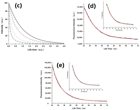 Insights into the Mechanisms of Single-Photon and Two-Photon