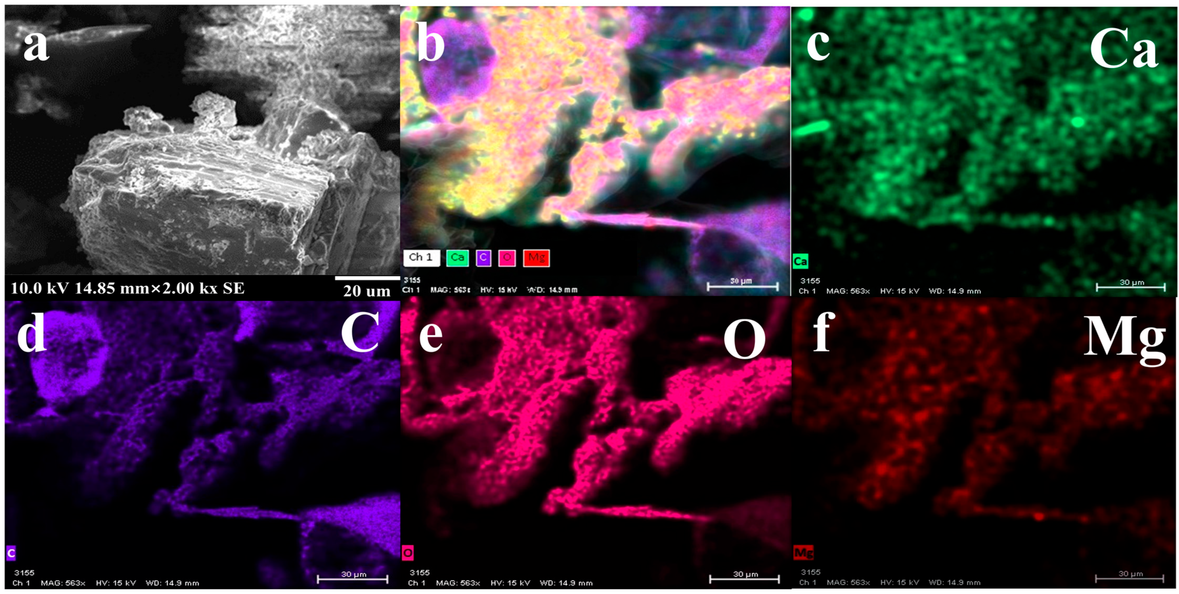 Nanomaterials 14 01452 g005