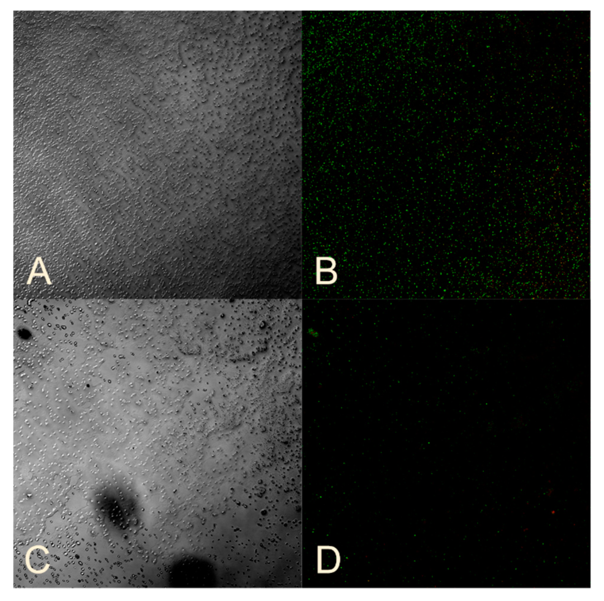 Nanomaterials 14 01453 g005