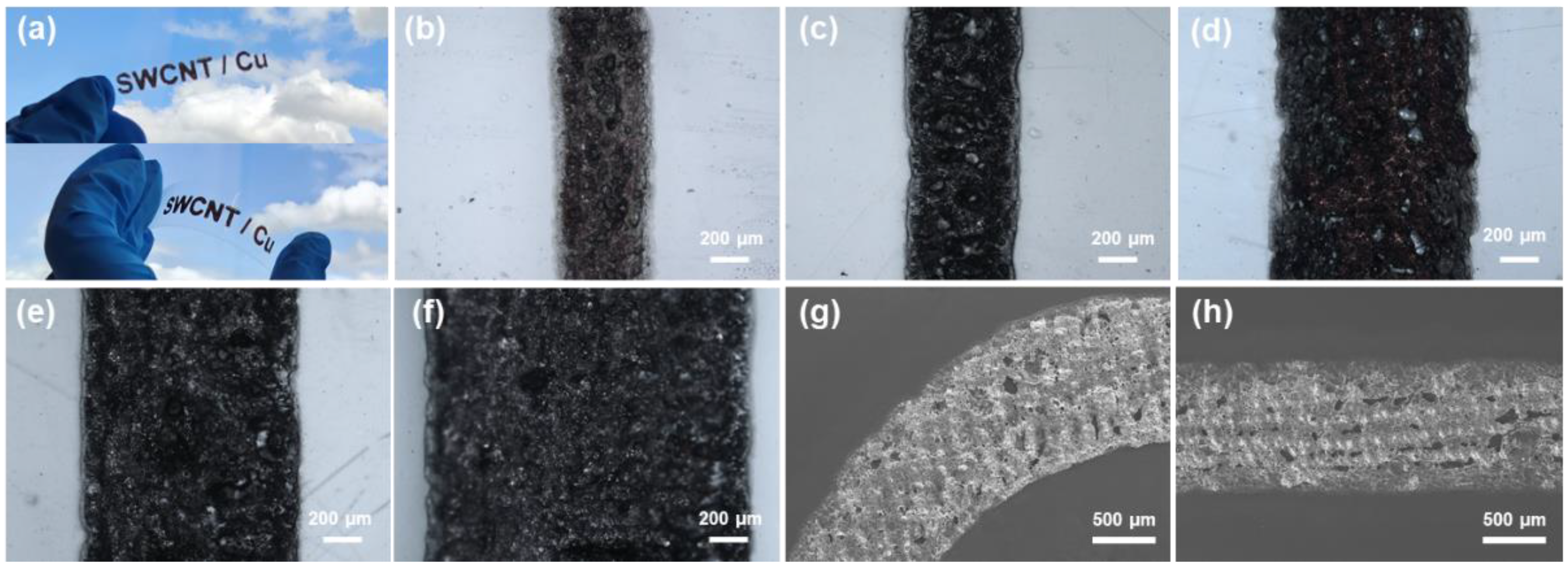 Nanomaterials 14 01454 g004 Nanomaterials 14 01454 g004