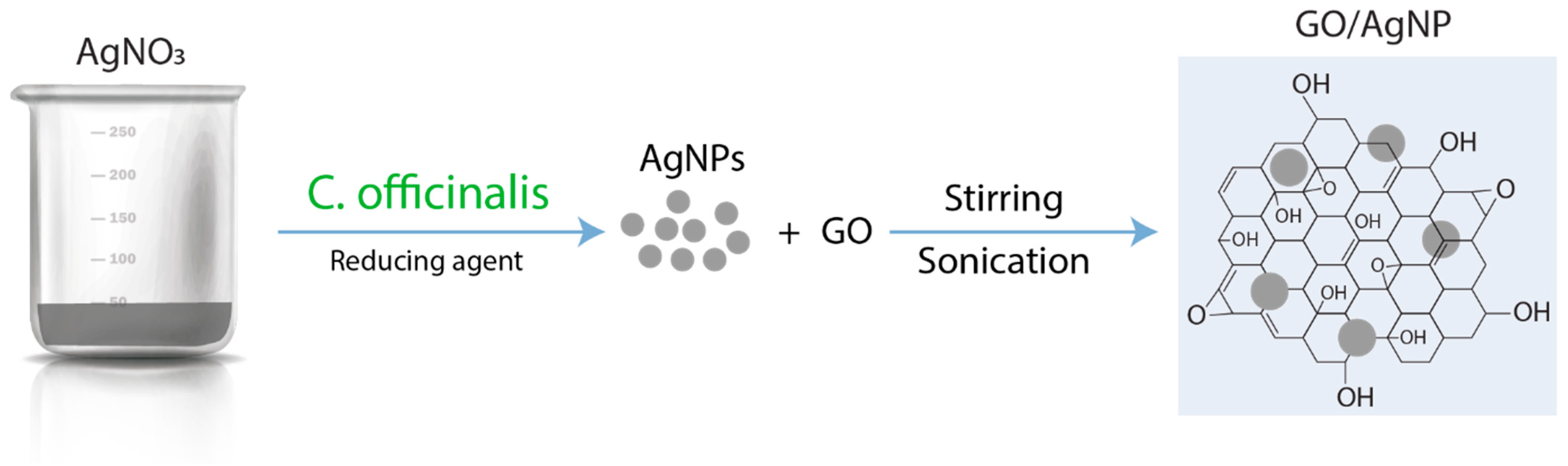 Nanomaterials 14 01455 g001