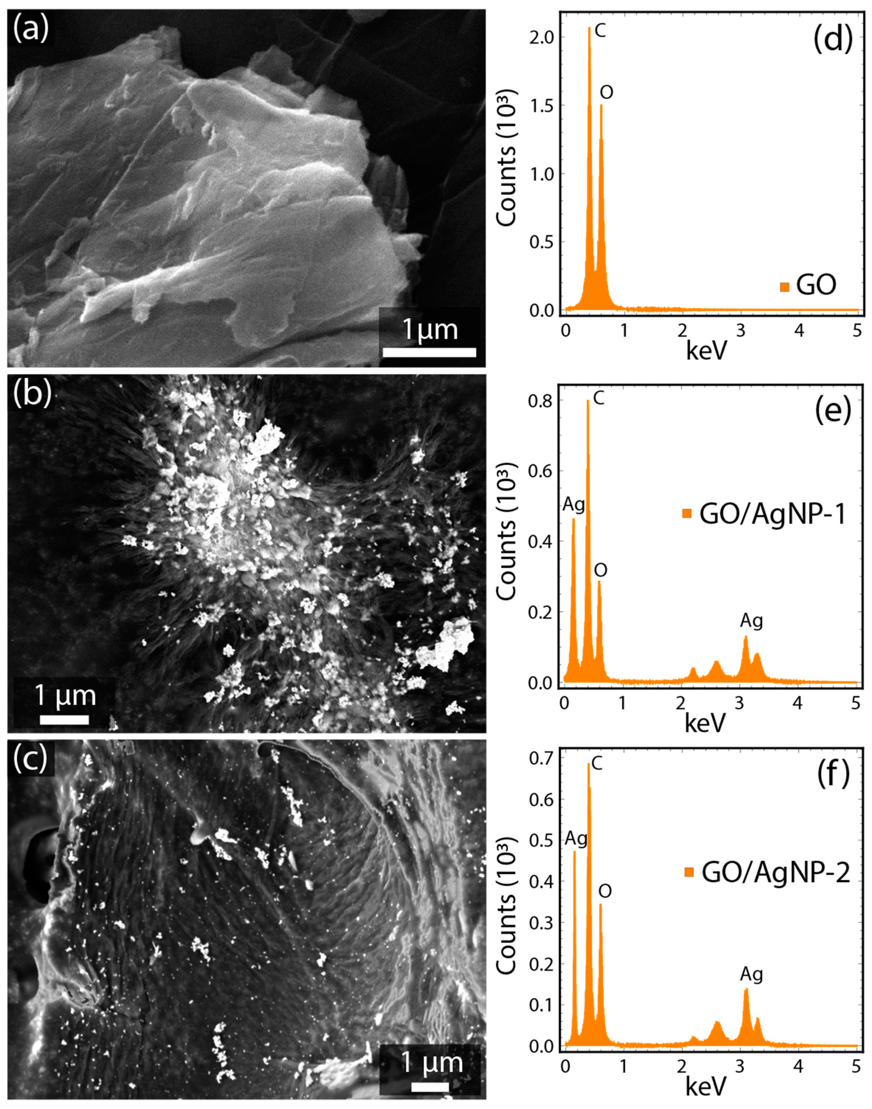 Nanomaterials 14 01455 g002