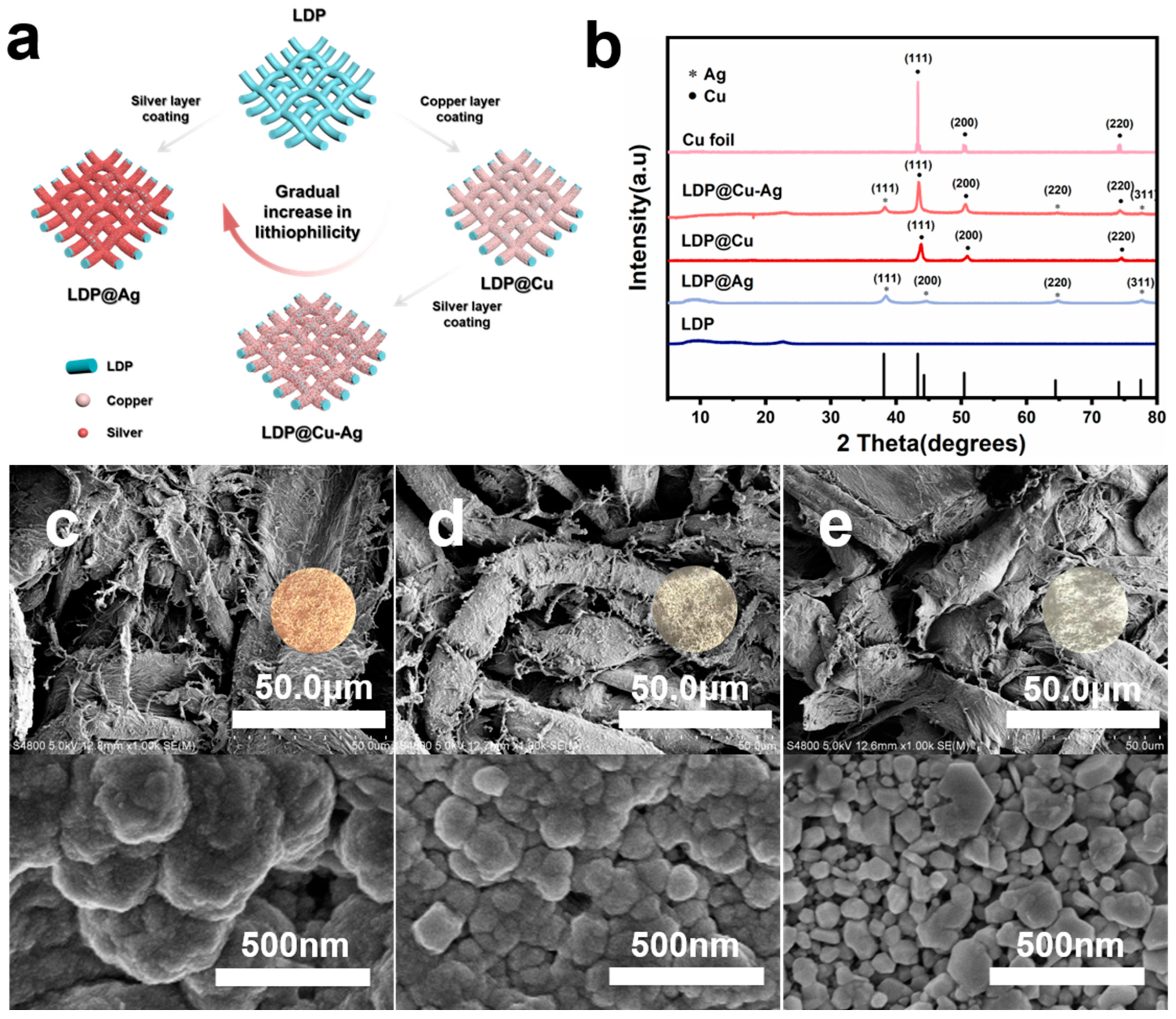 Nanomaterials 14 01461 g001