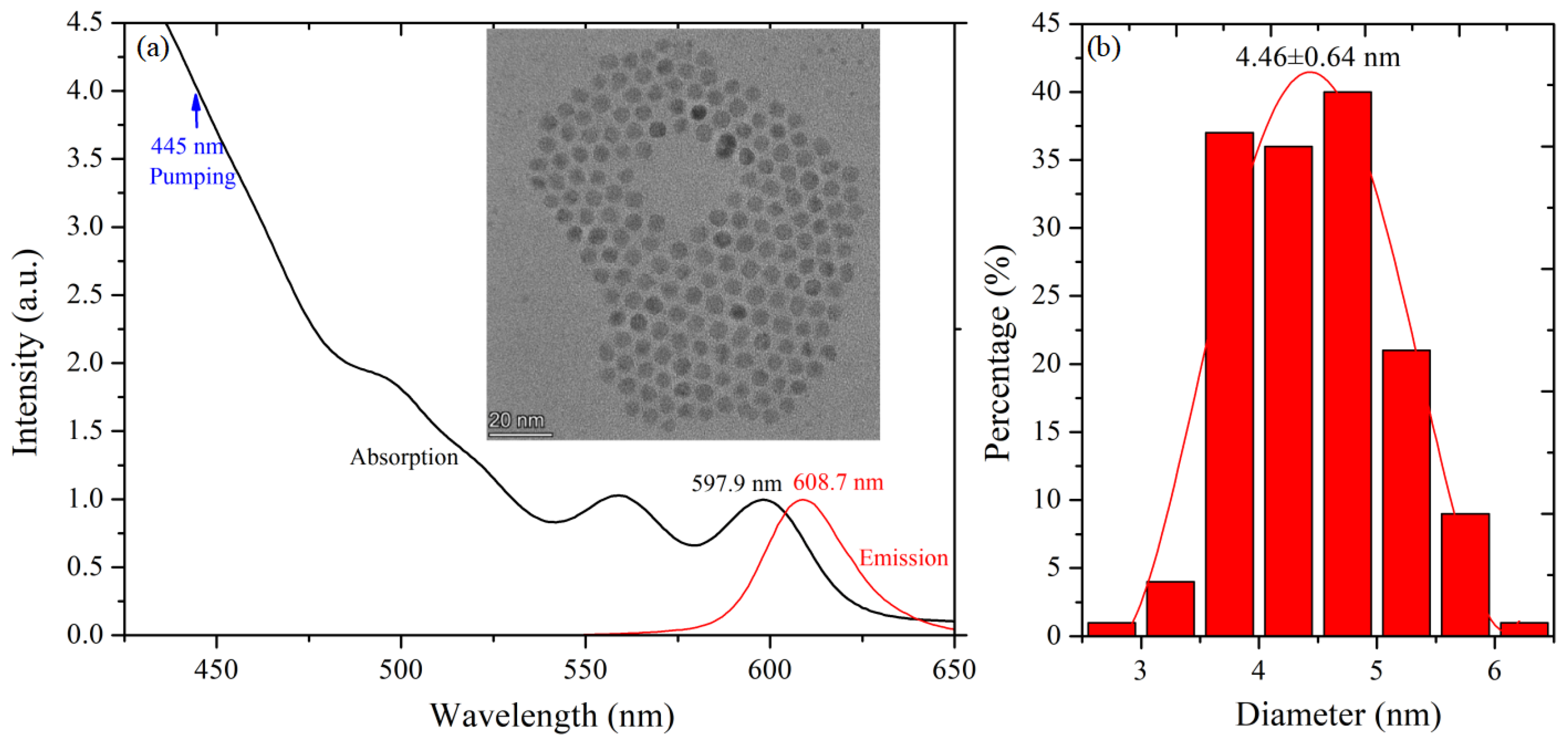 Nanomaterials 14 01463 g001