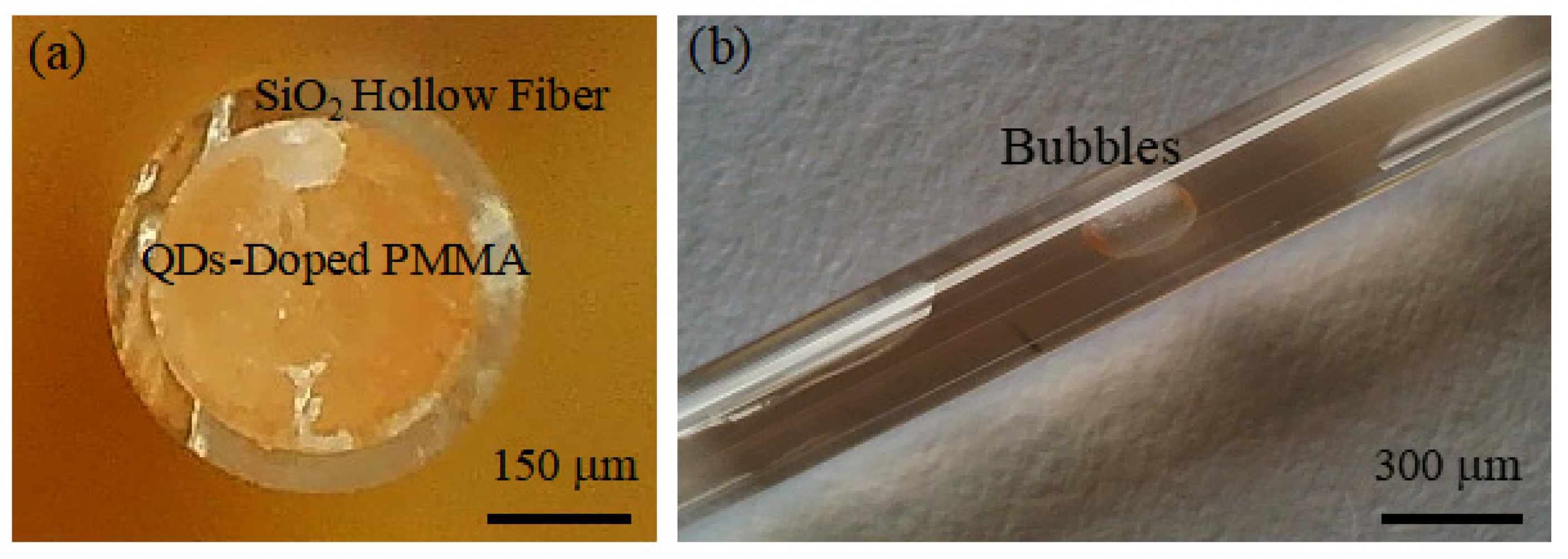 Nanomaterials 14 01463 g007