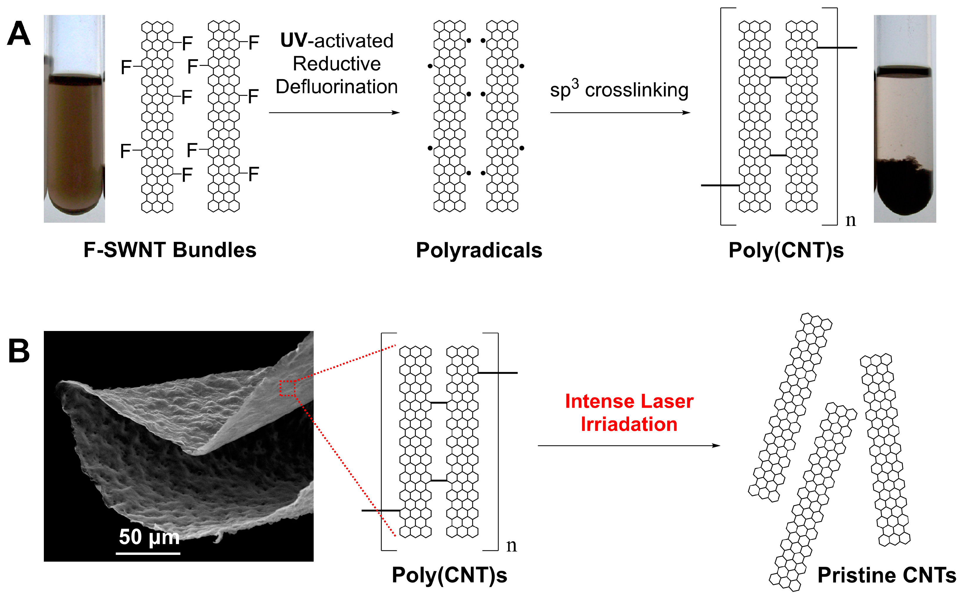 Nanomaterials 14 01464 g001