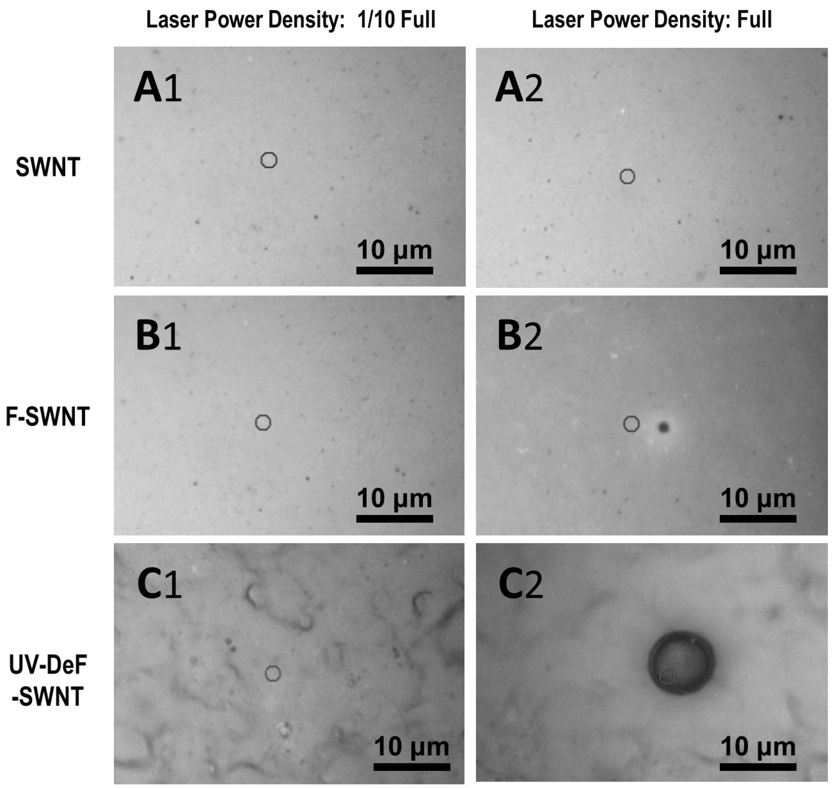 Nanomaterials 14 01464 g005