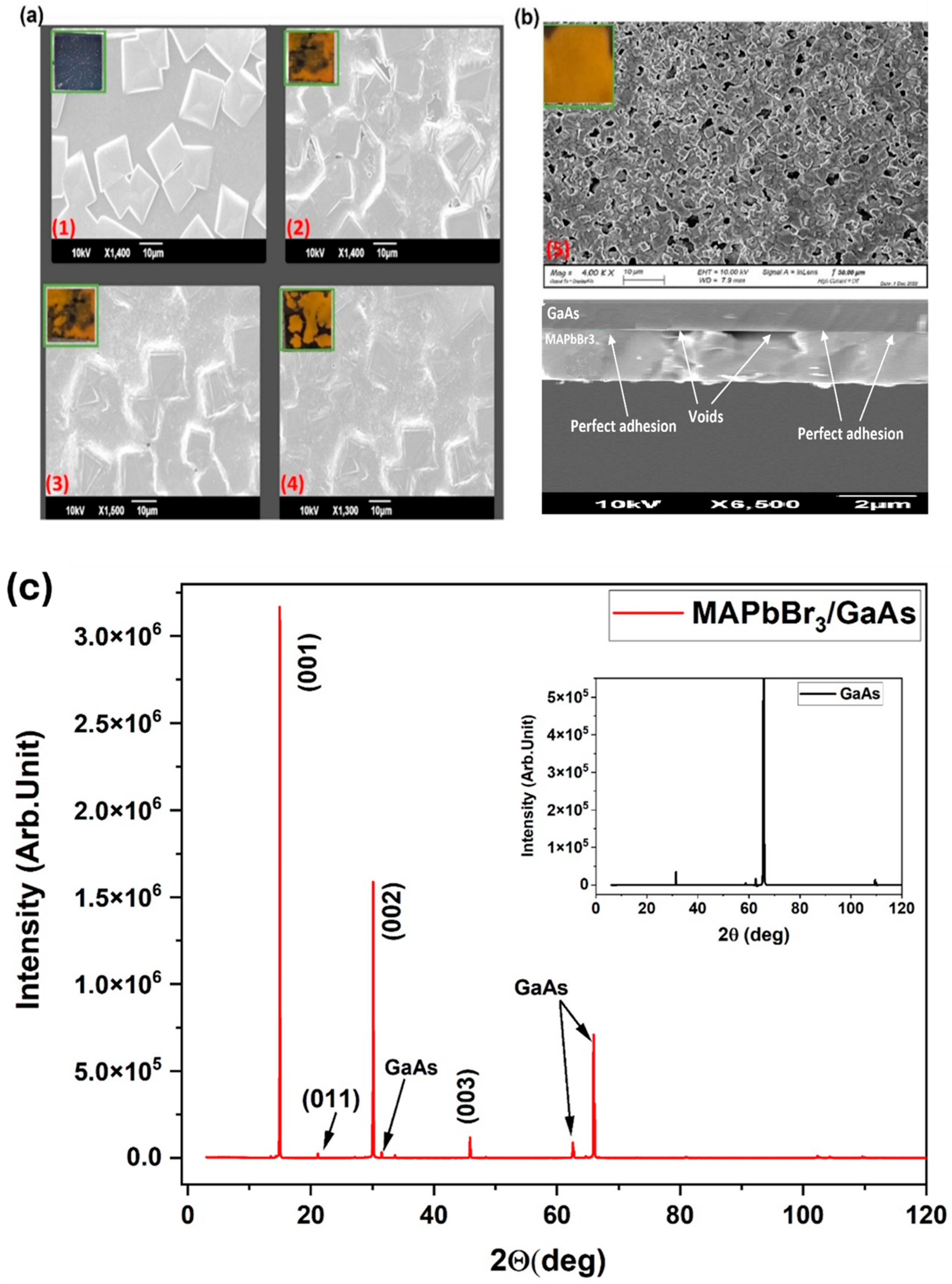 Nanomaterials 14 01472 g003
