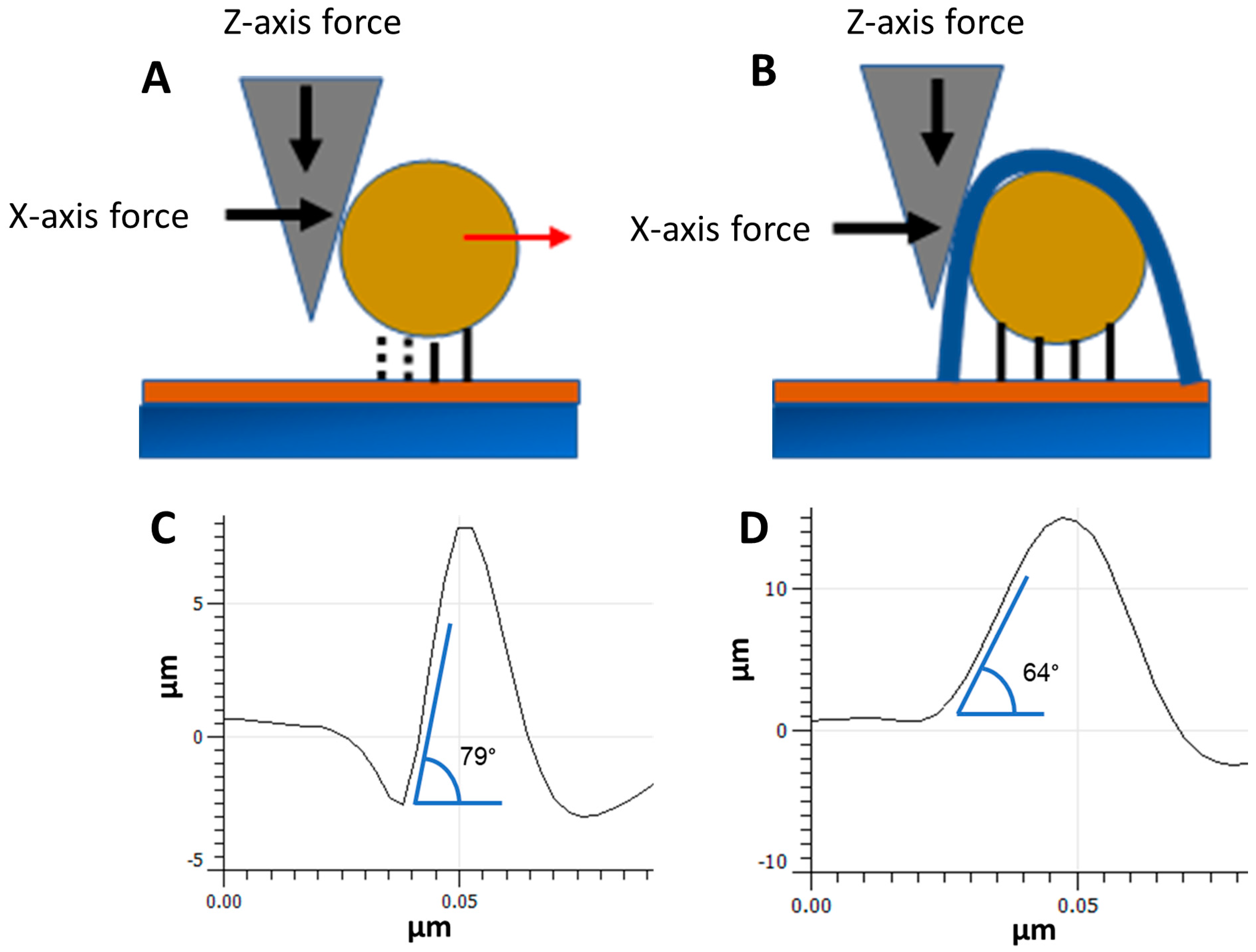 Nanomaterials 14 01475 g004 Nanomaterials 14 01475 g004