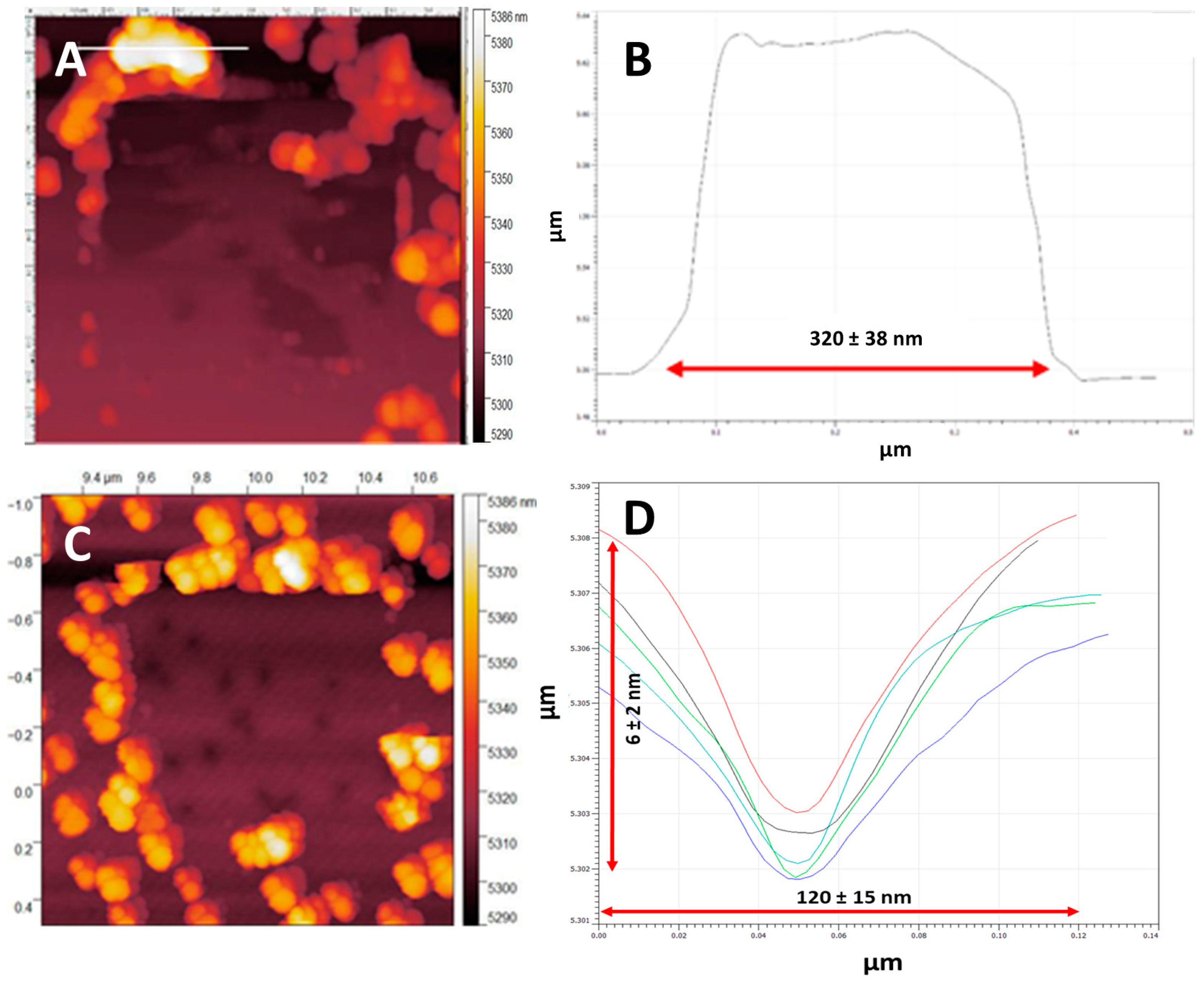 Nanomaterials 14 01475 g005 Nanomaterials 14 01475 g005
