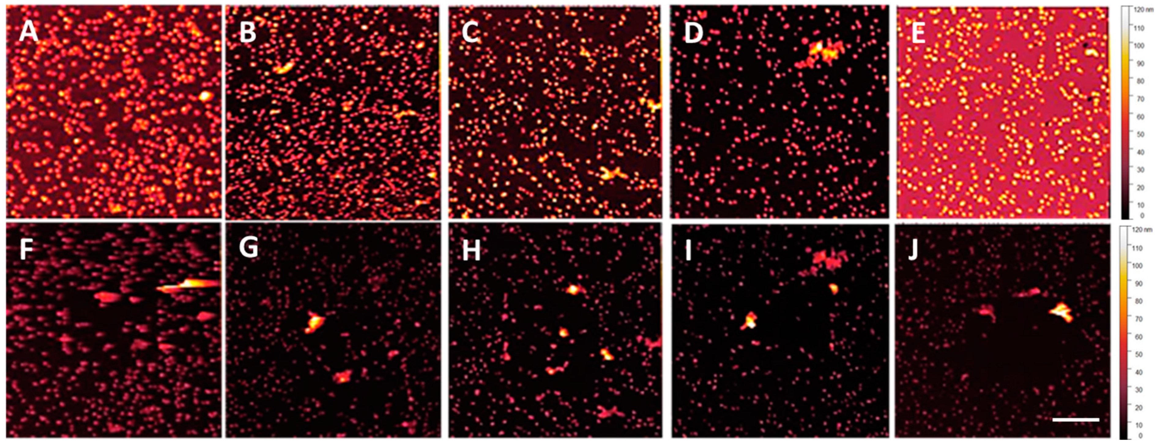 Nanomaterials 14 01475 g007 Nanomaterials 14 01475 g007
