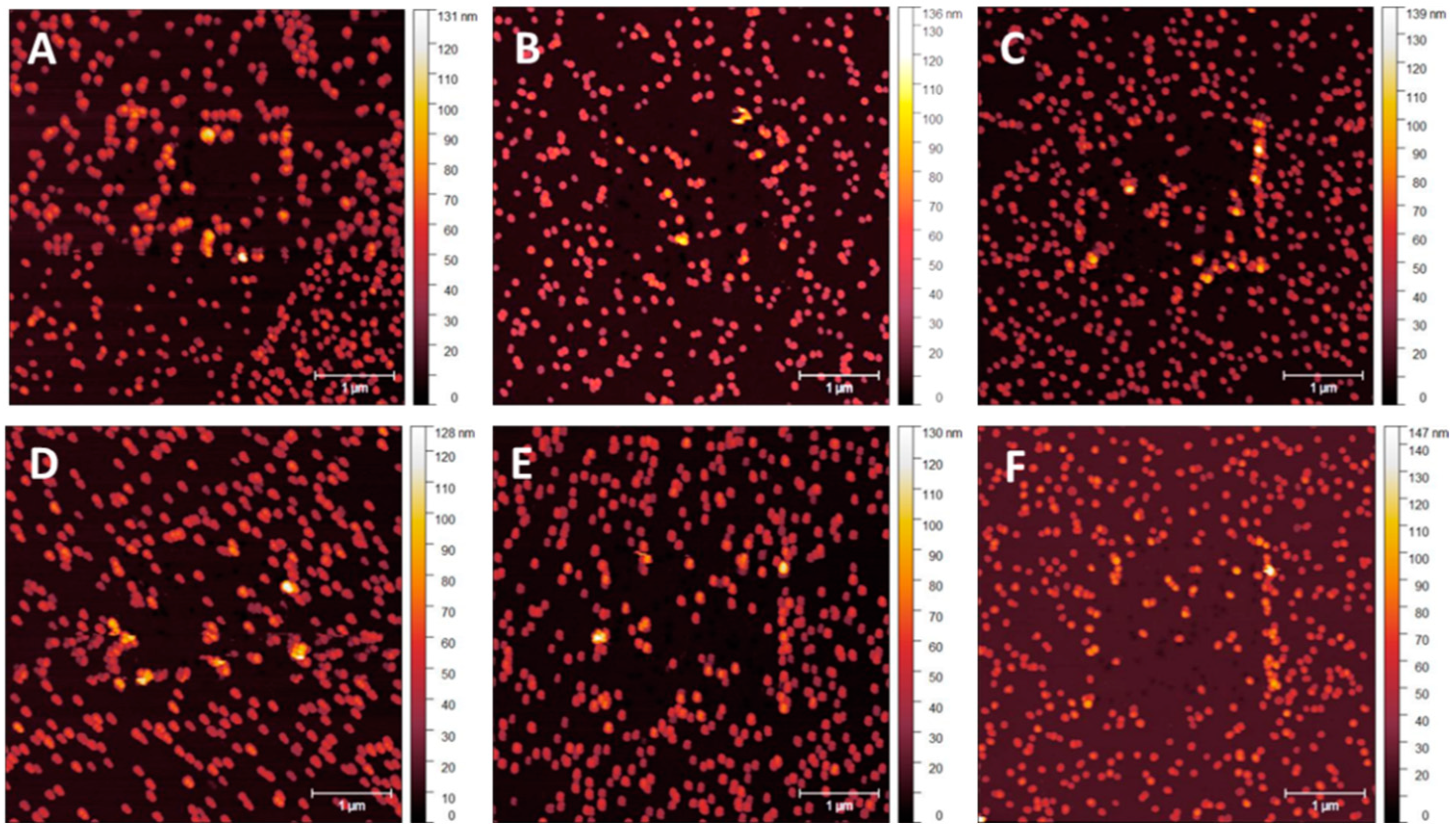 Nanomaterials 14 01475 g010 Nanomaterials 14 01475 g010